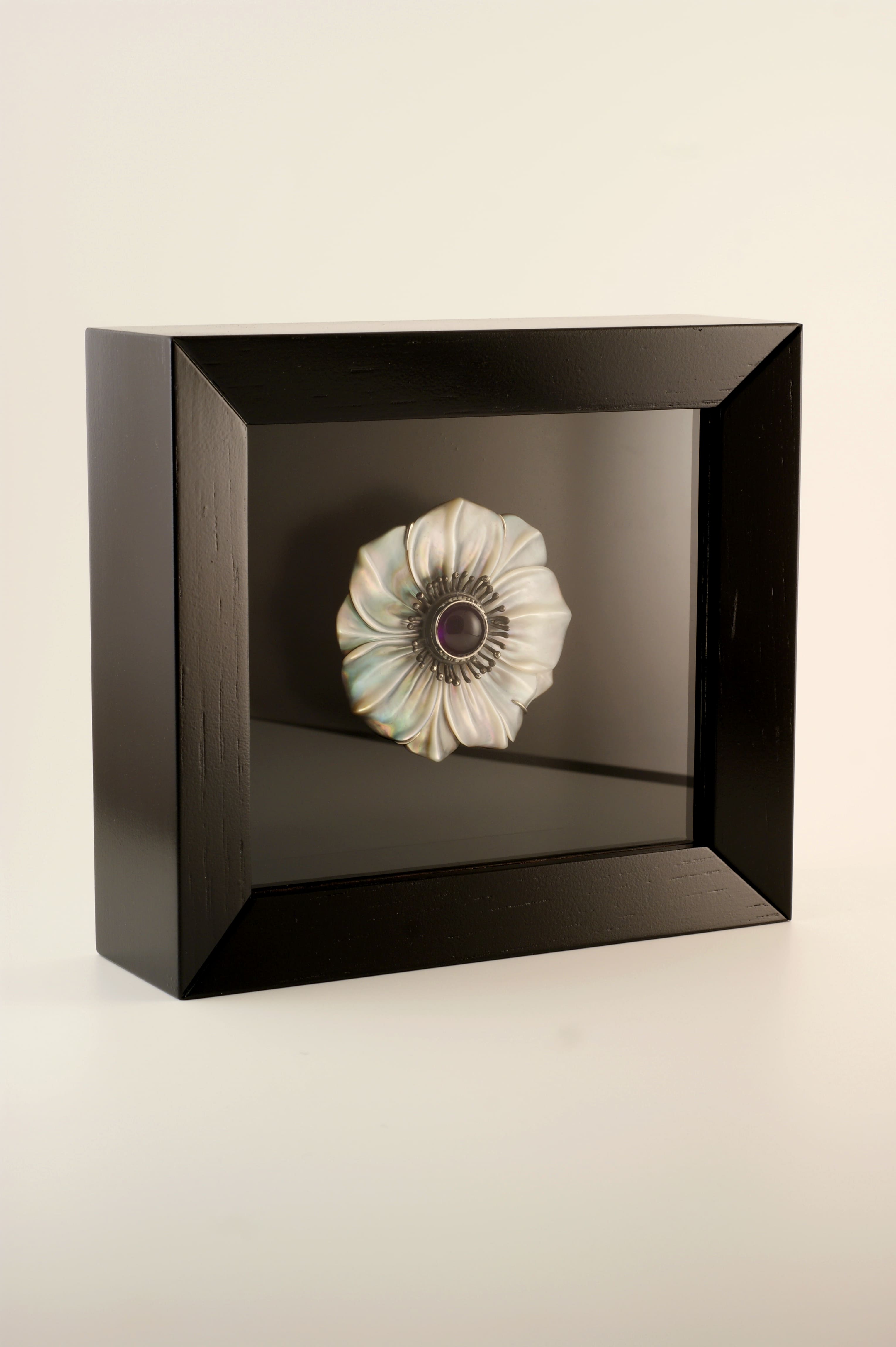 Anemone Coronaria