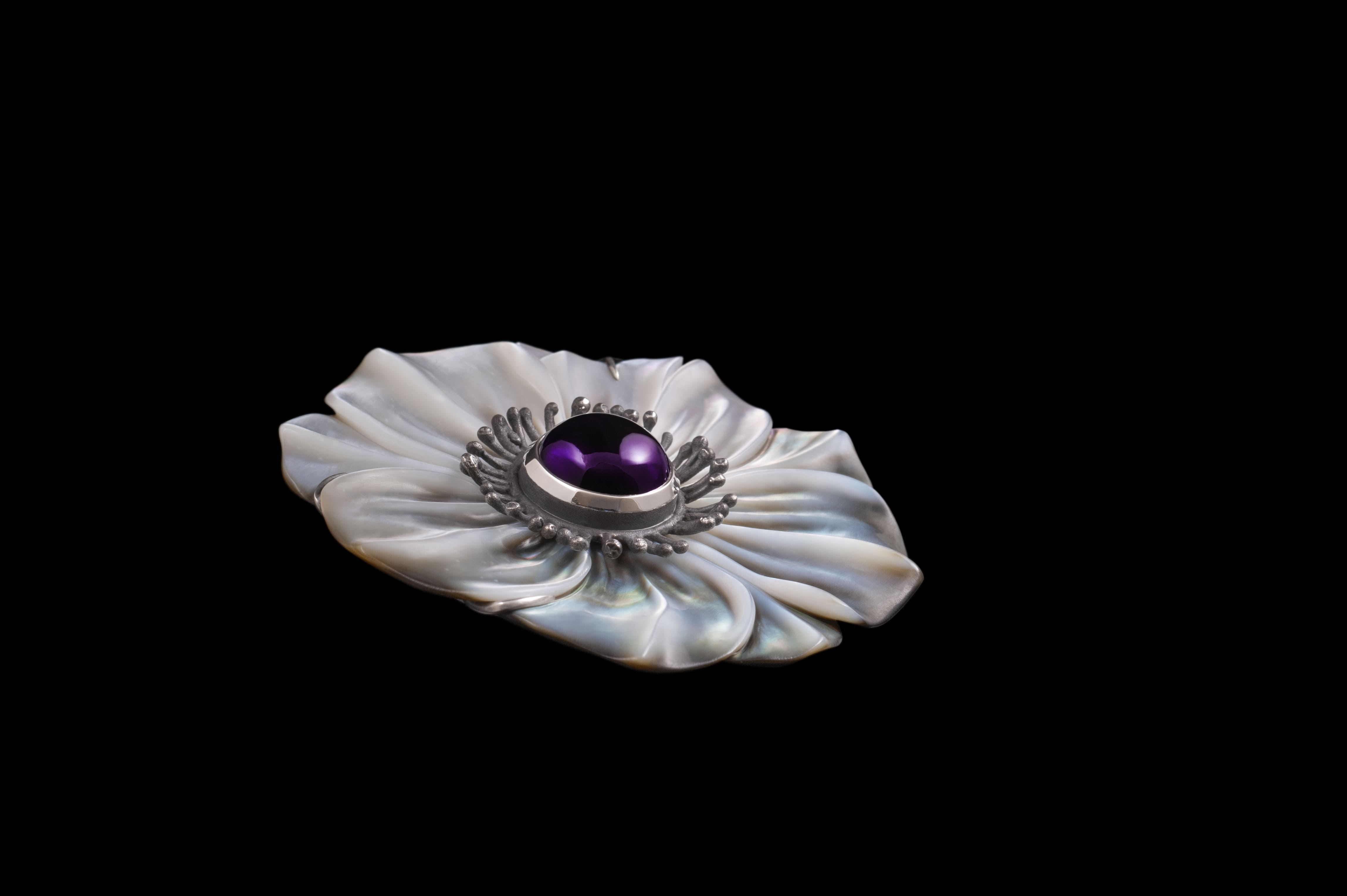 Anemone Coronaria