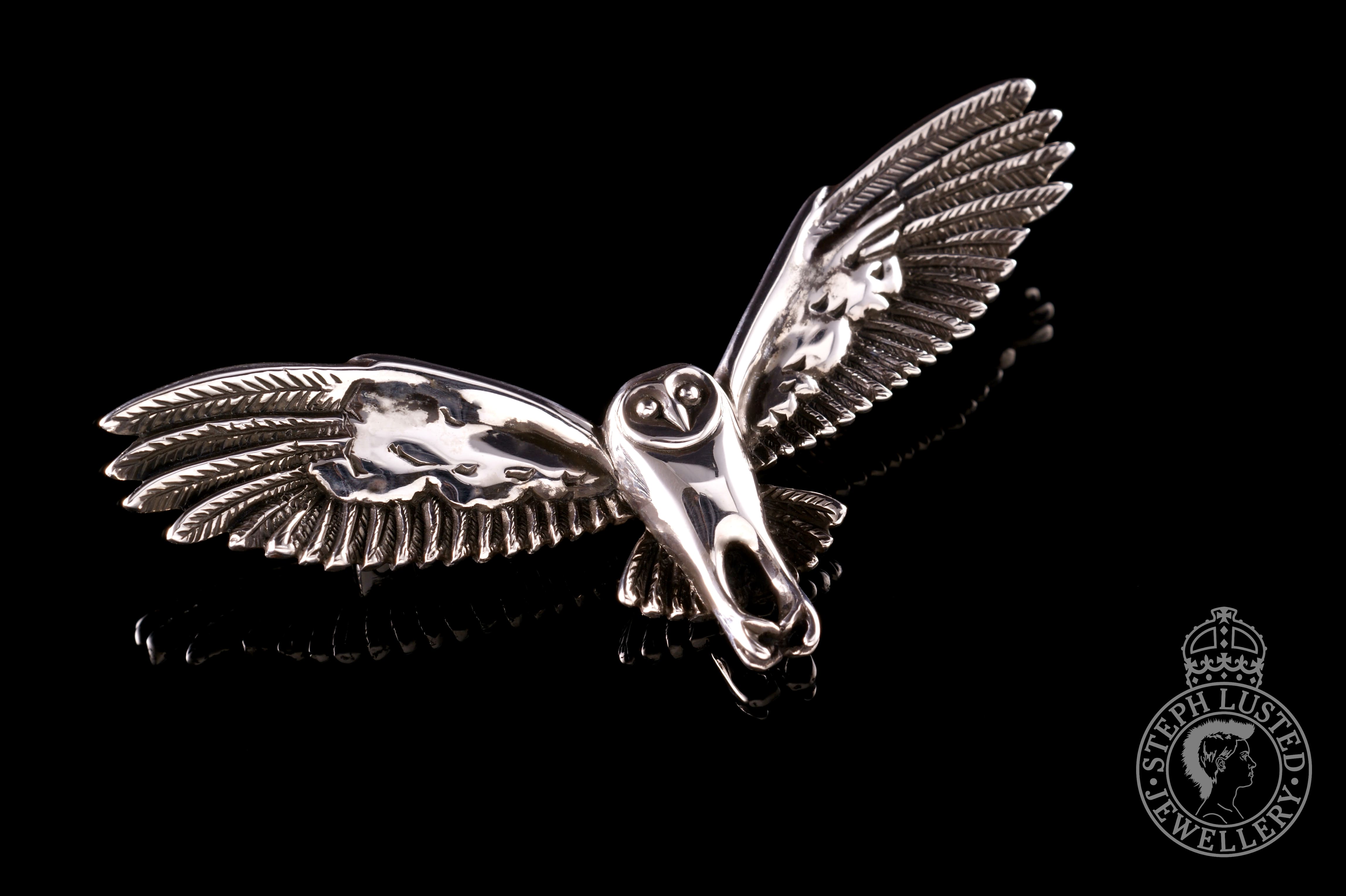 Barn Owl in Flight