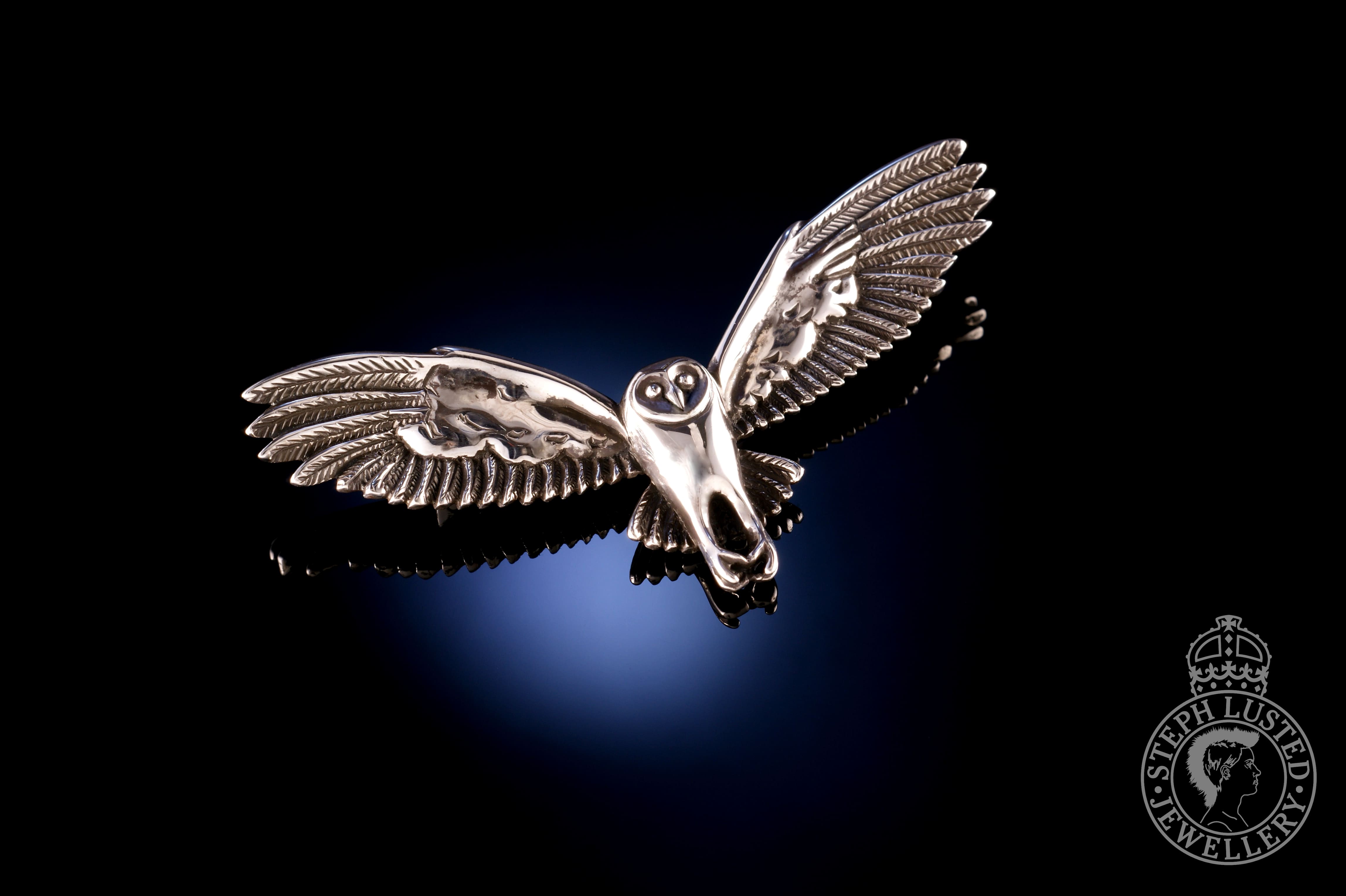 Barn Owl in Flight
