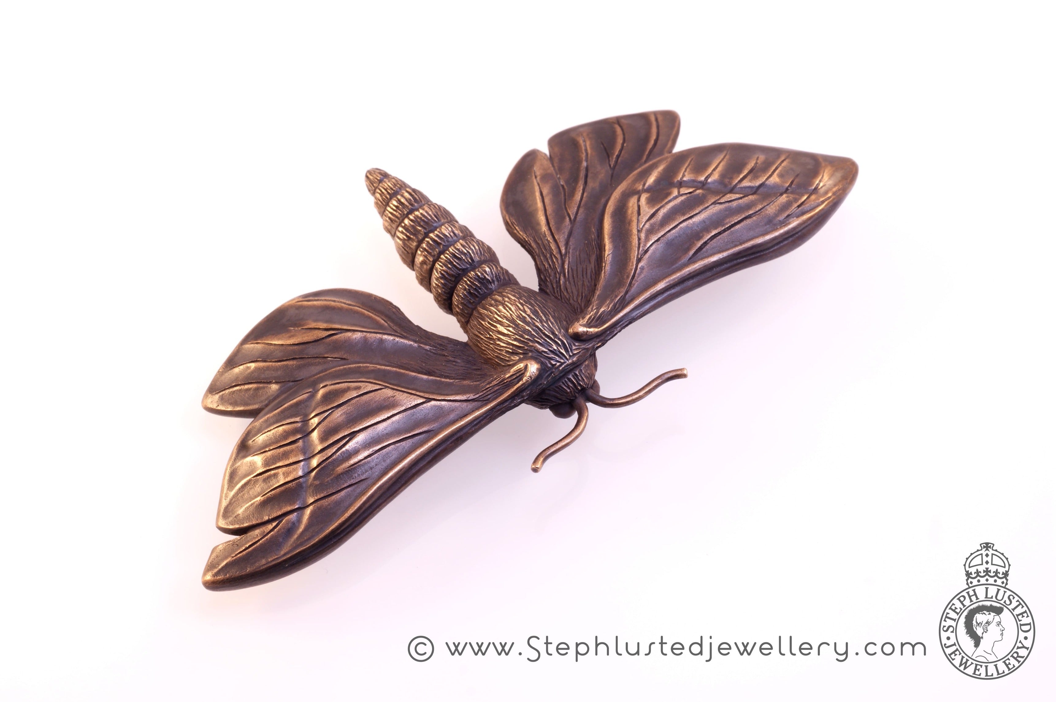 Puriri Moth - Bronze