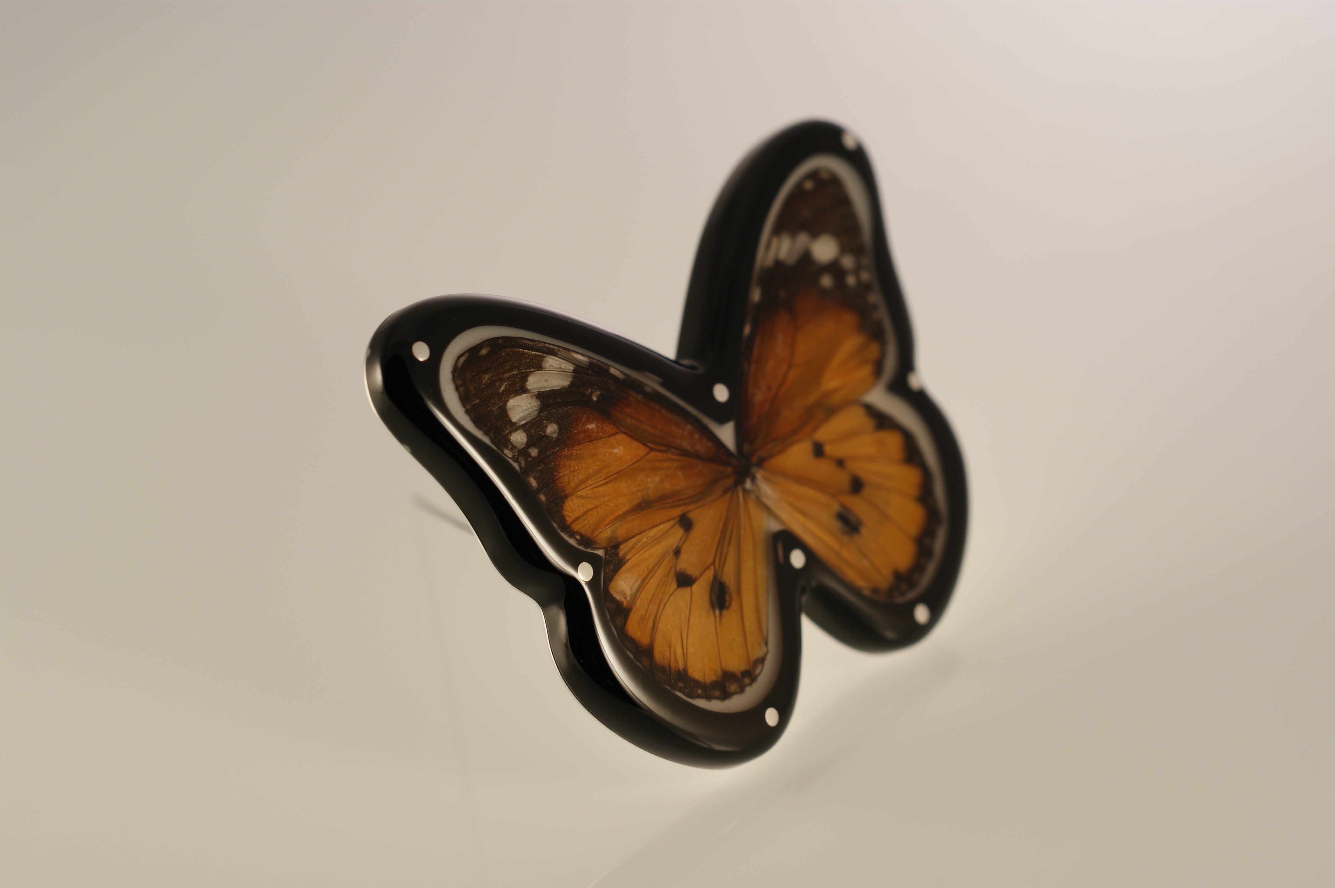 Butterfly Brooches in Cabinets