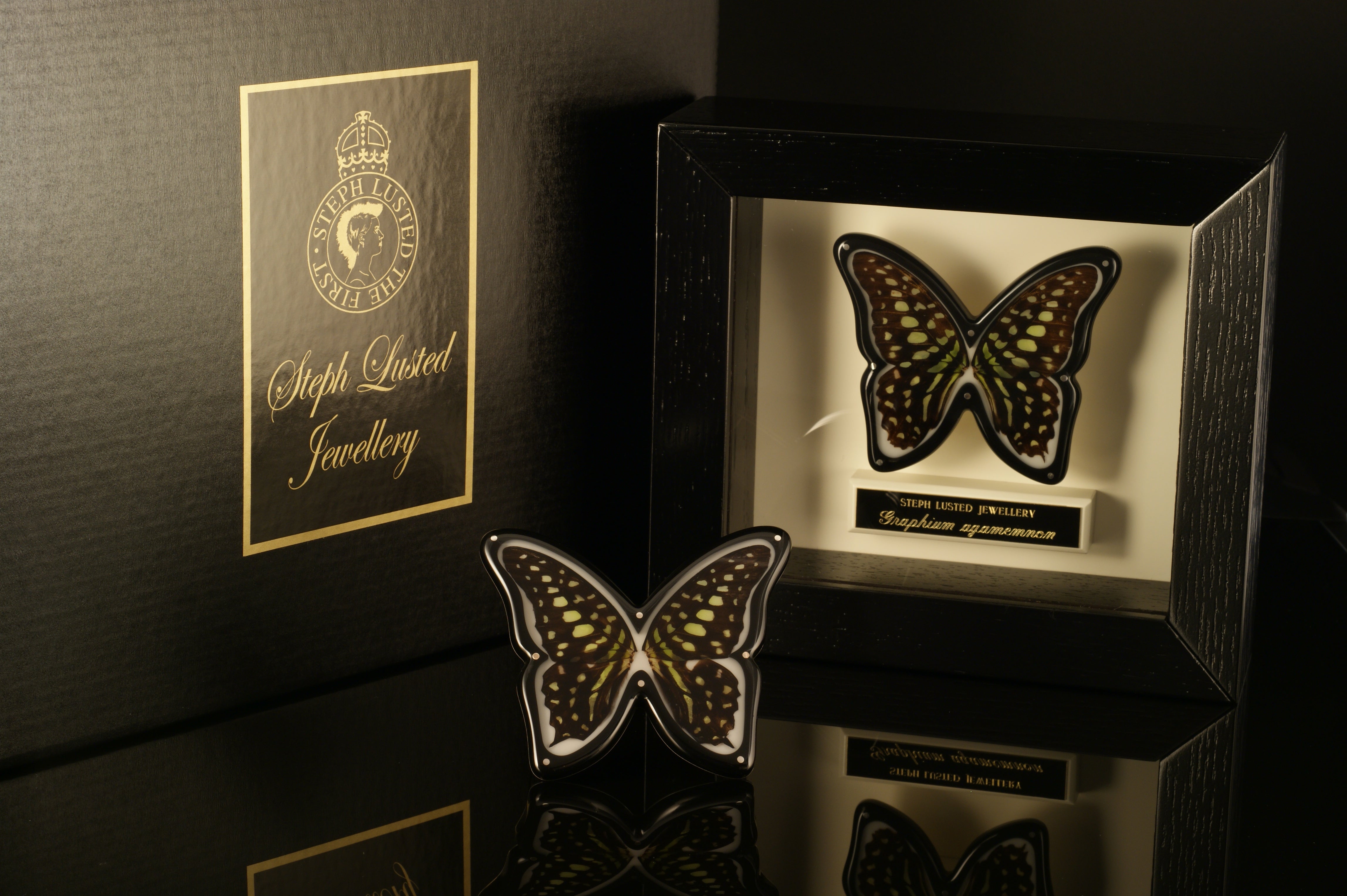 Butterfly Brooches in Cabinets