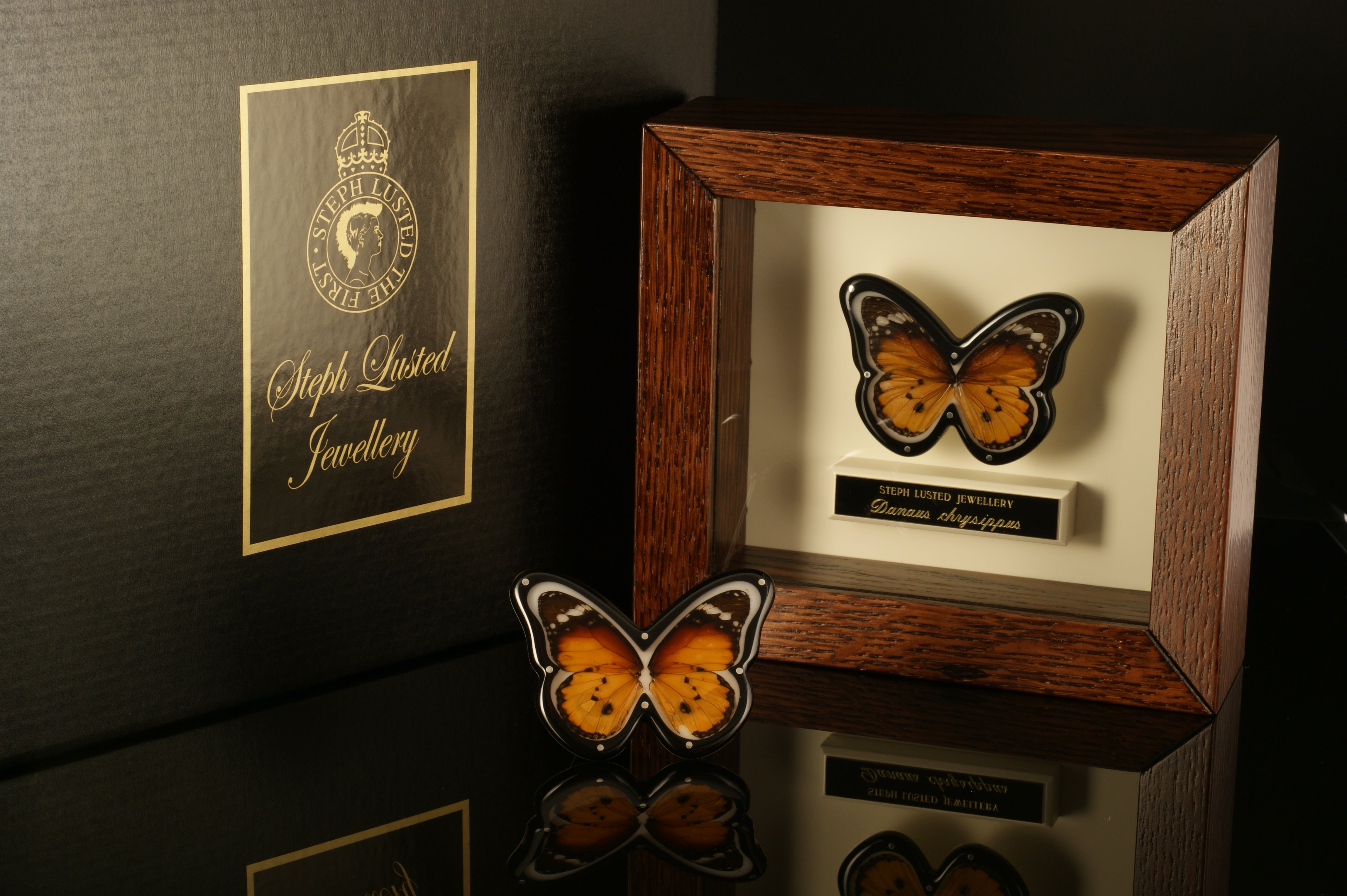 Butterfly Brooches in Cabinets