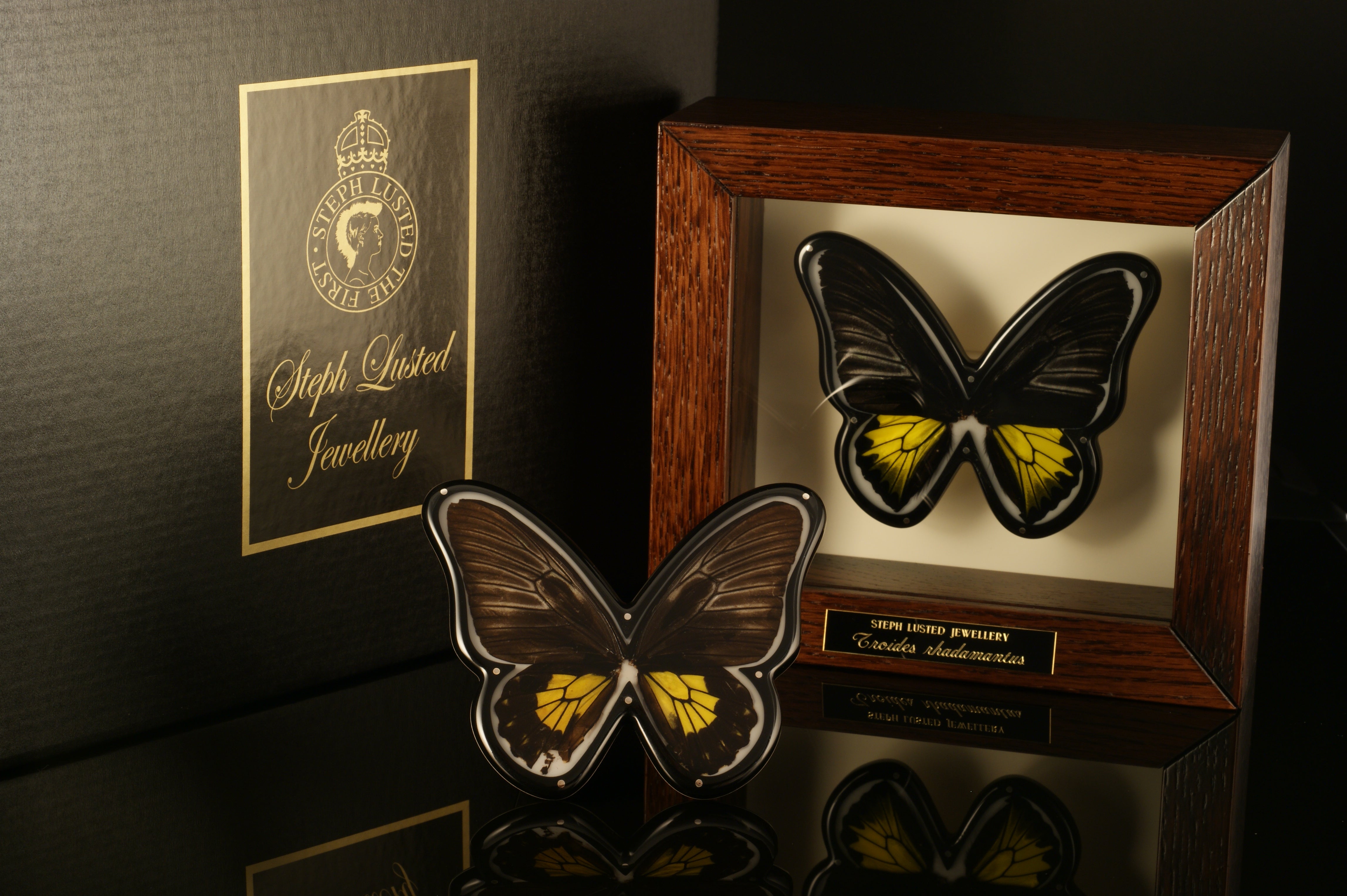 Butterfly Brooches in Cabinets