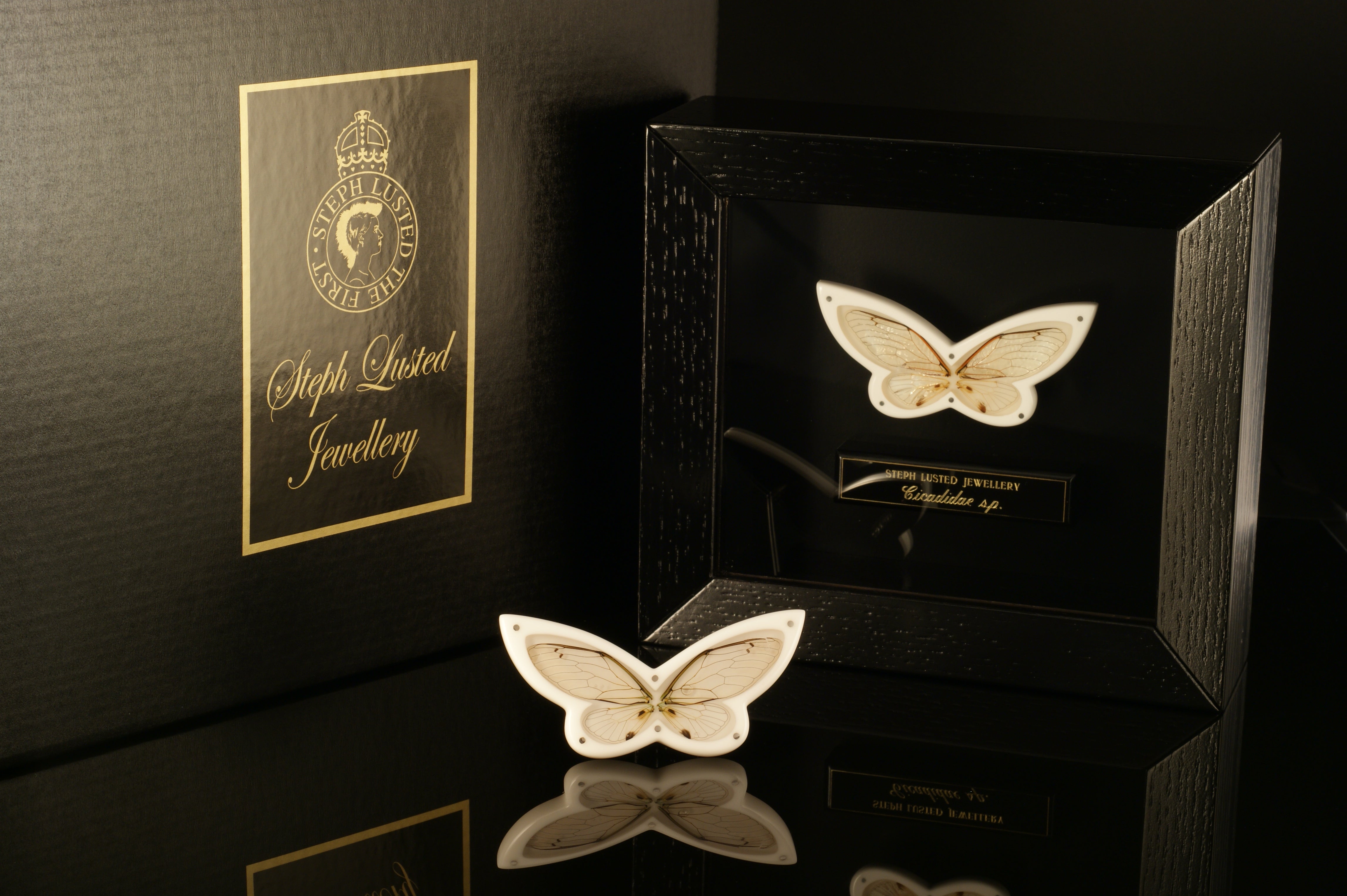 Butterfly Brooches in Cabinets