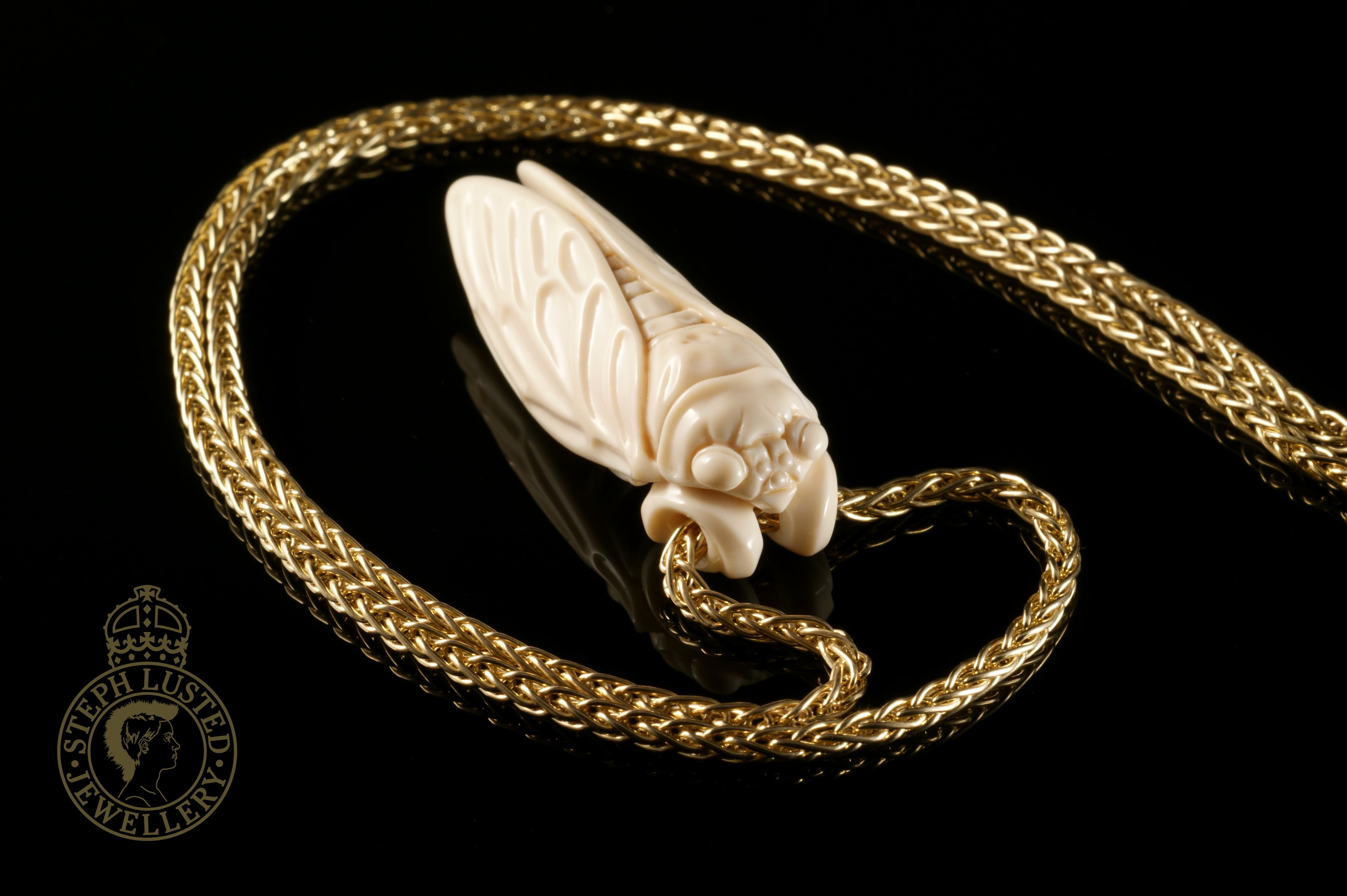 Cicada