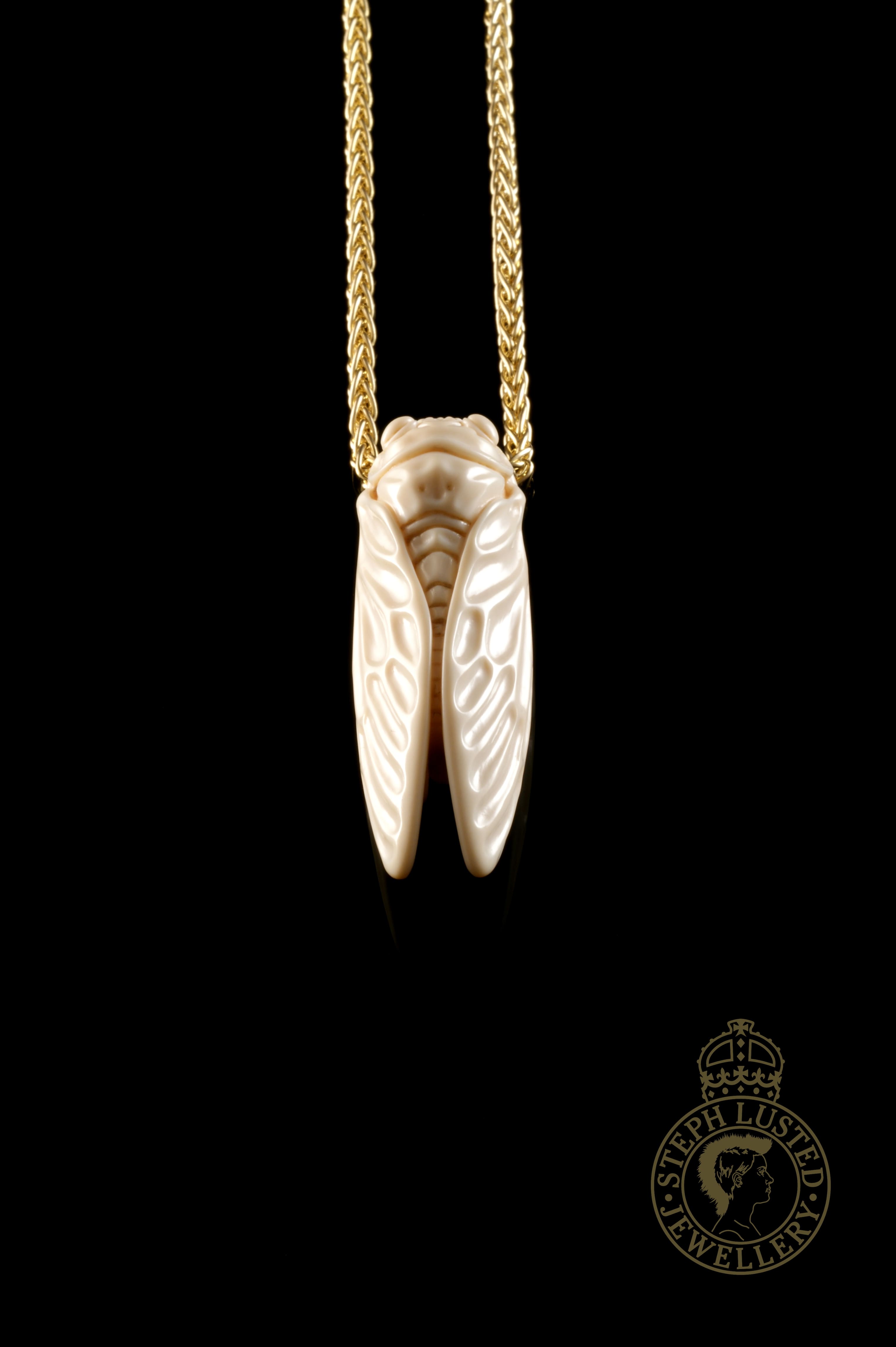 Cicada