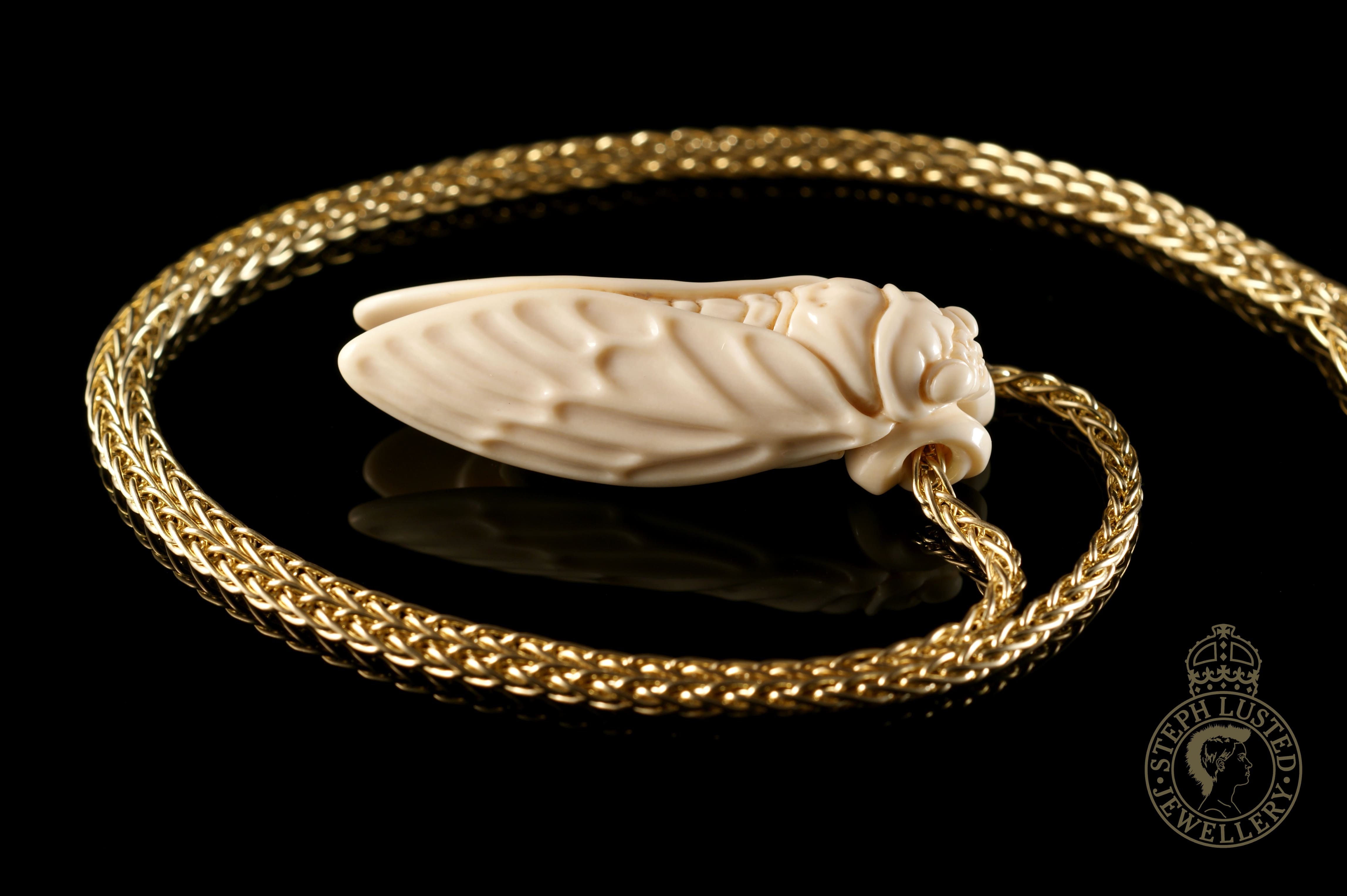 Cicada