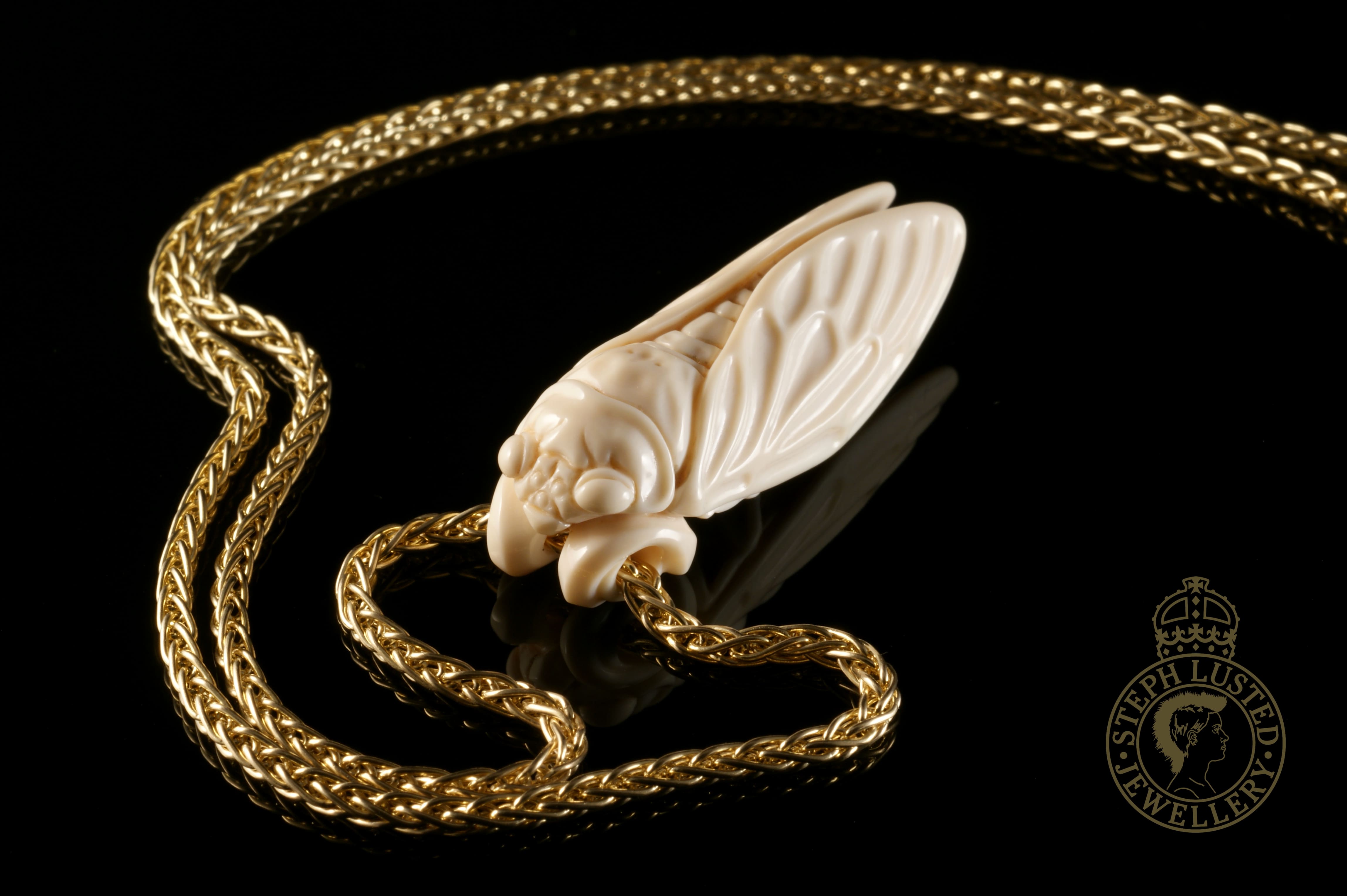 Cicada
