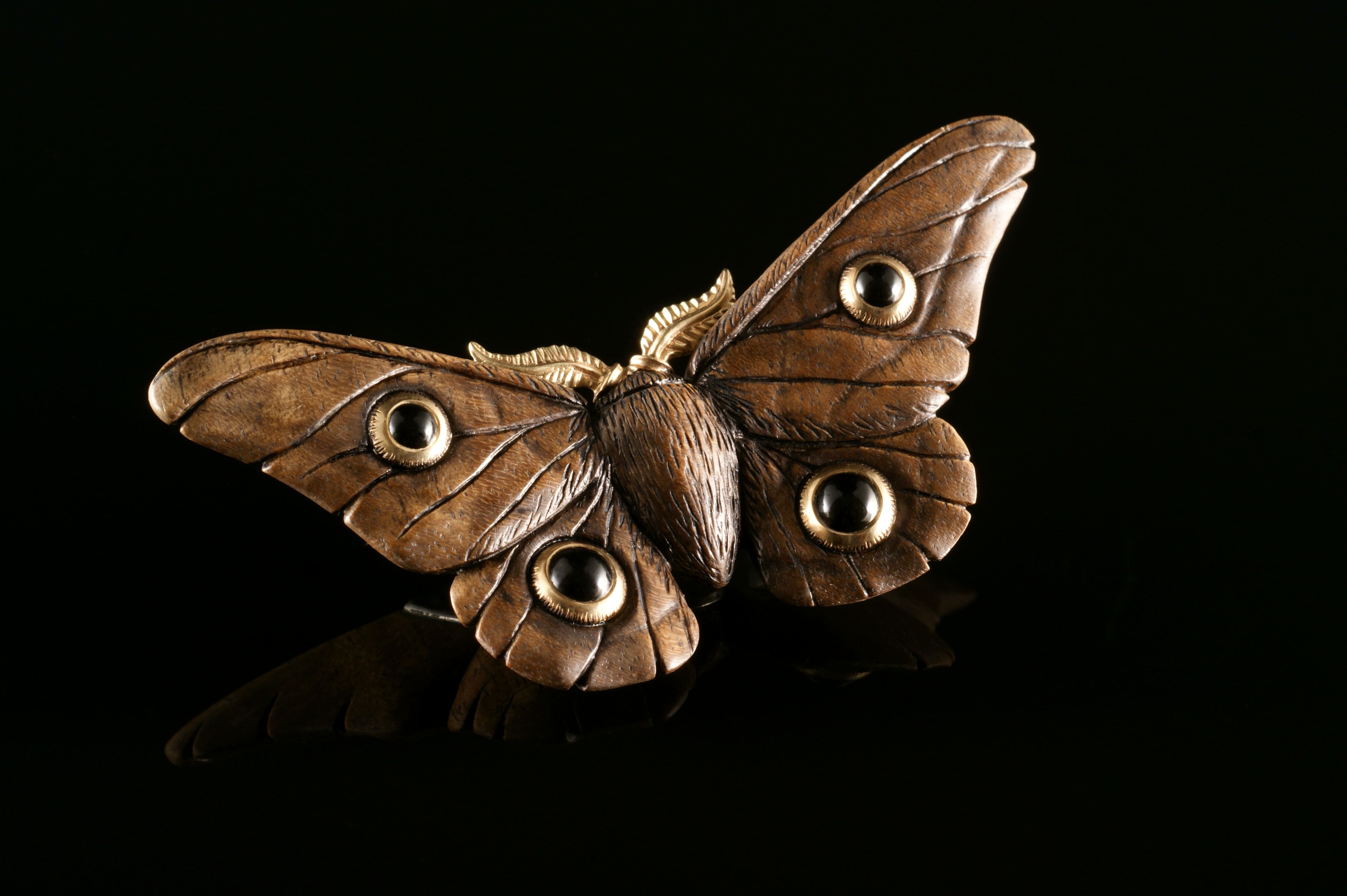 Emperor Gum Moth - Onyx