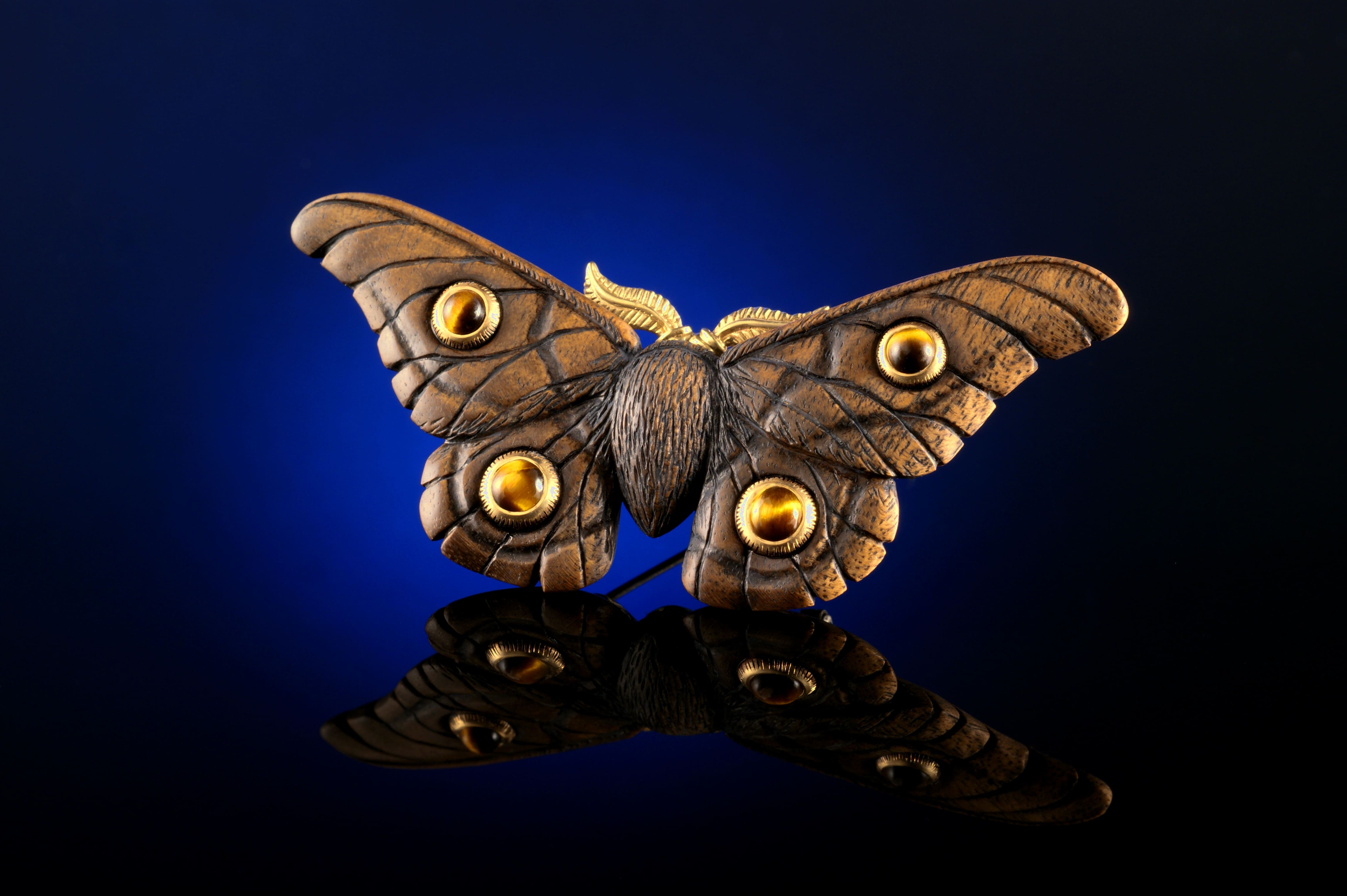 Emperor Gum Moth - Tigers eye