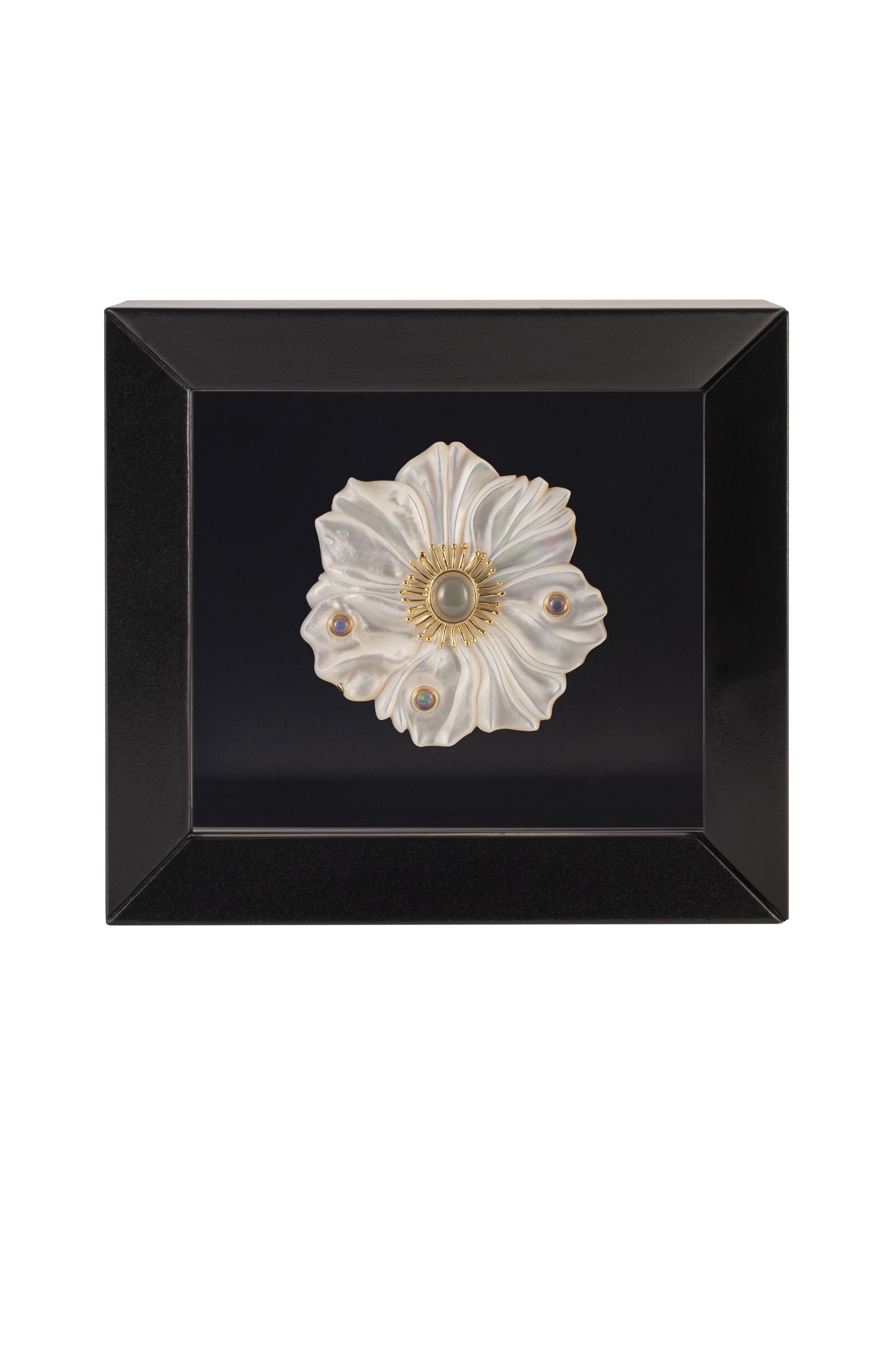 Japanese Anemone