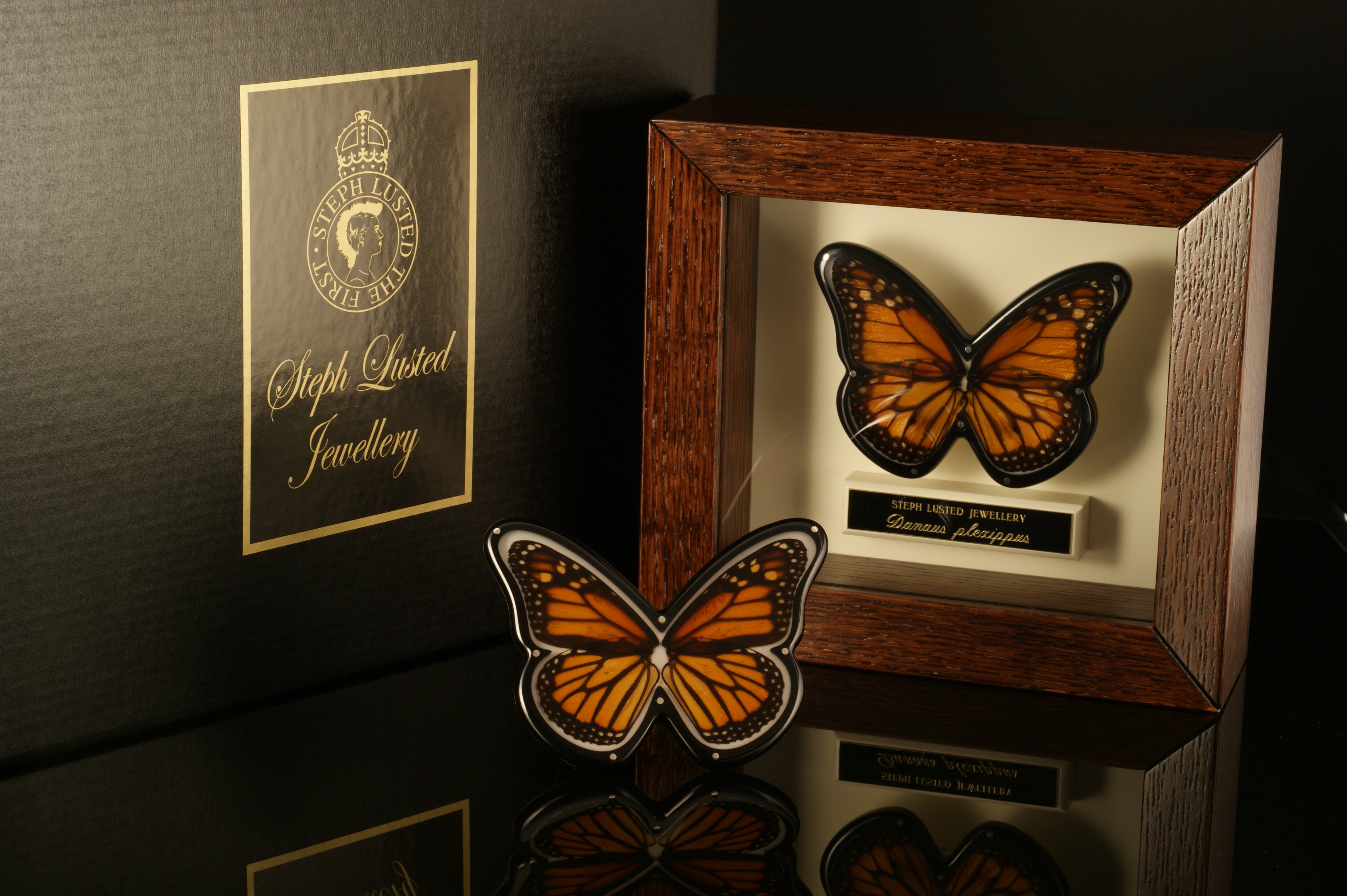 Butterfly Brooches in Cabinets