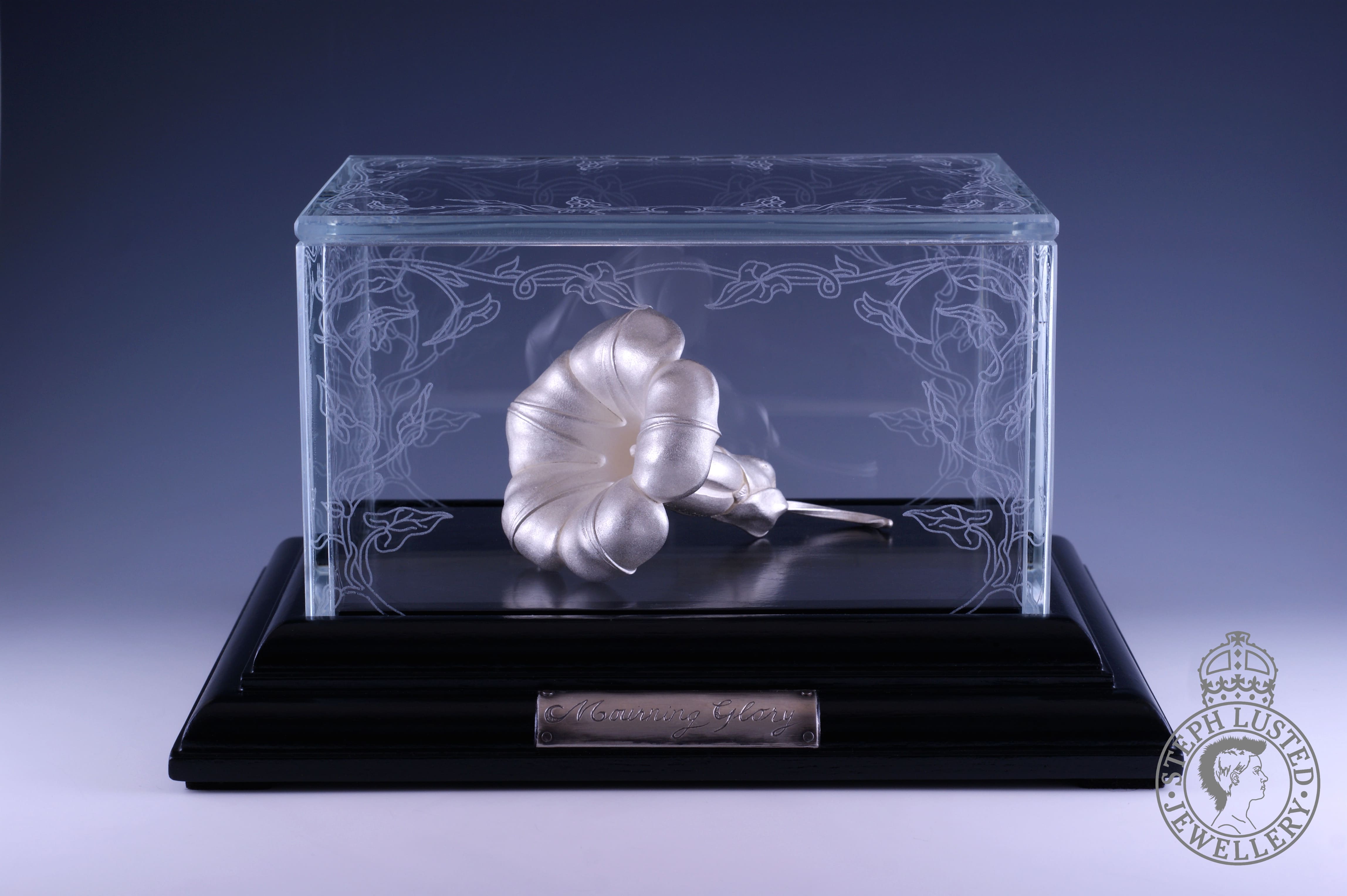 Mourning Glory