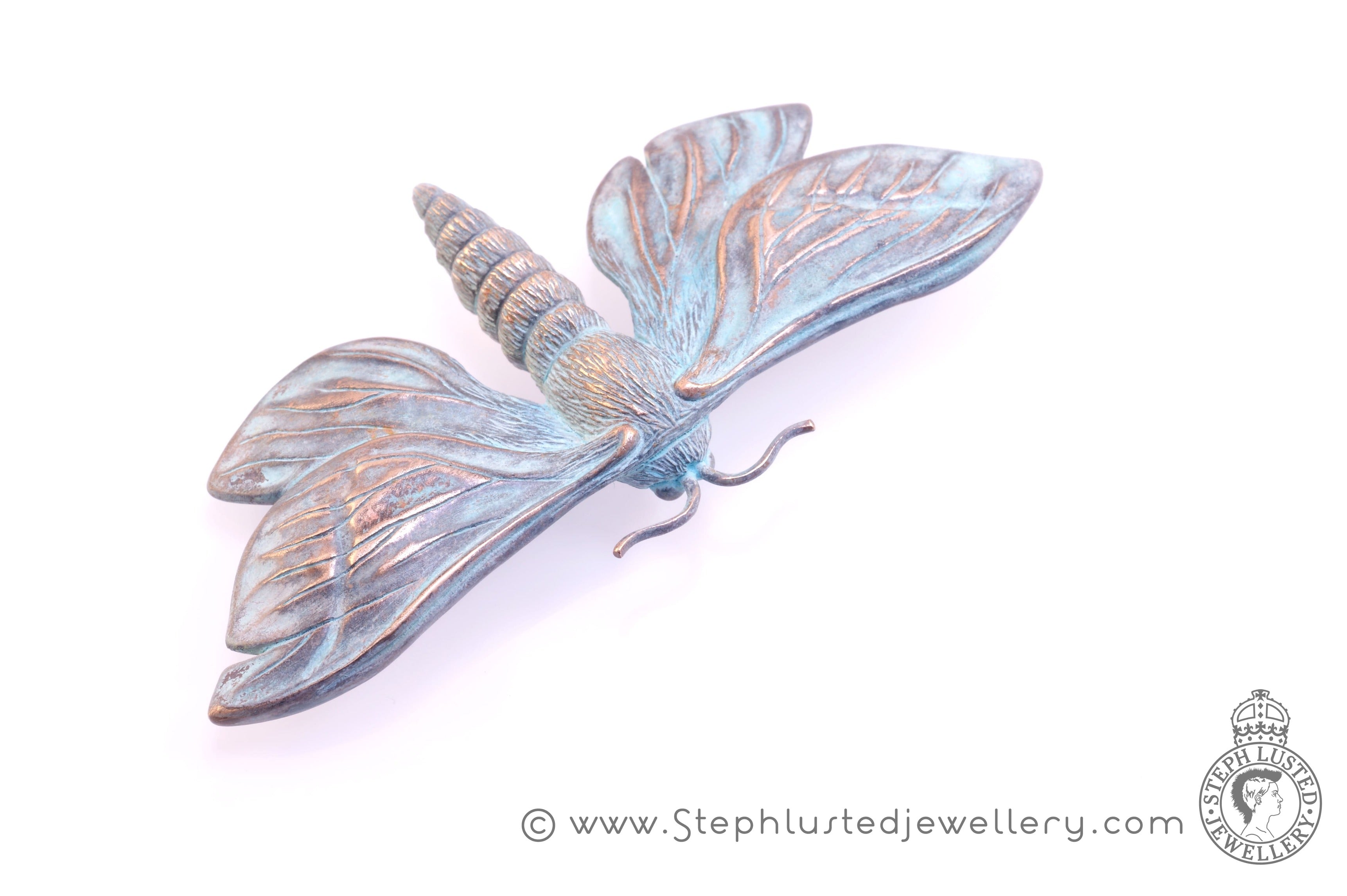Puriri Moth - Bronze