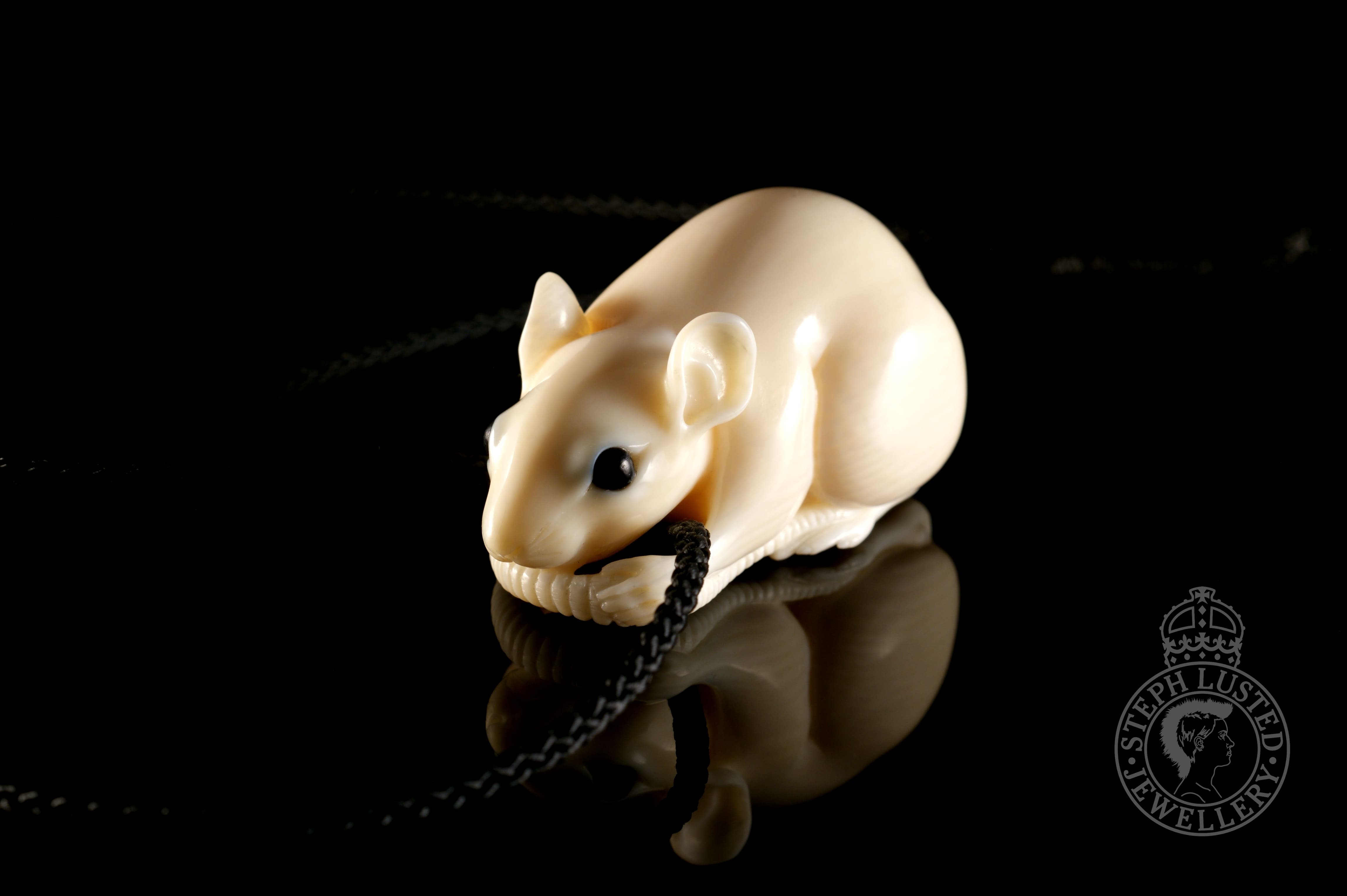 Rat