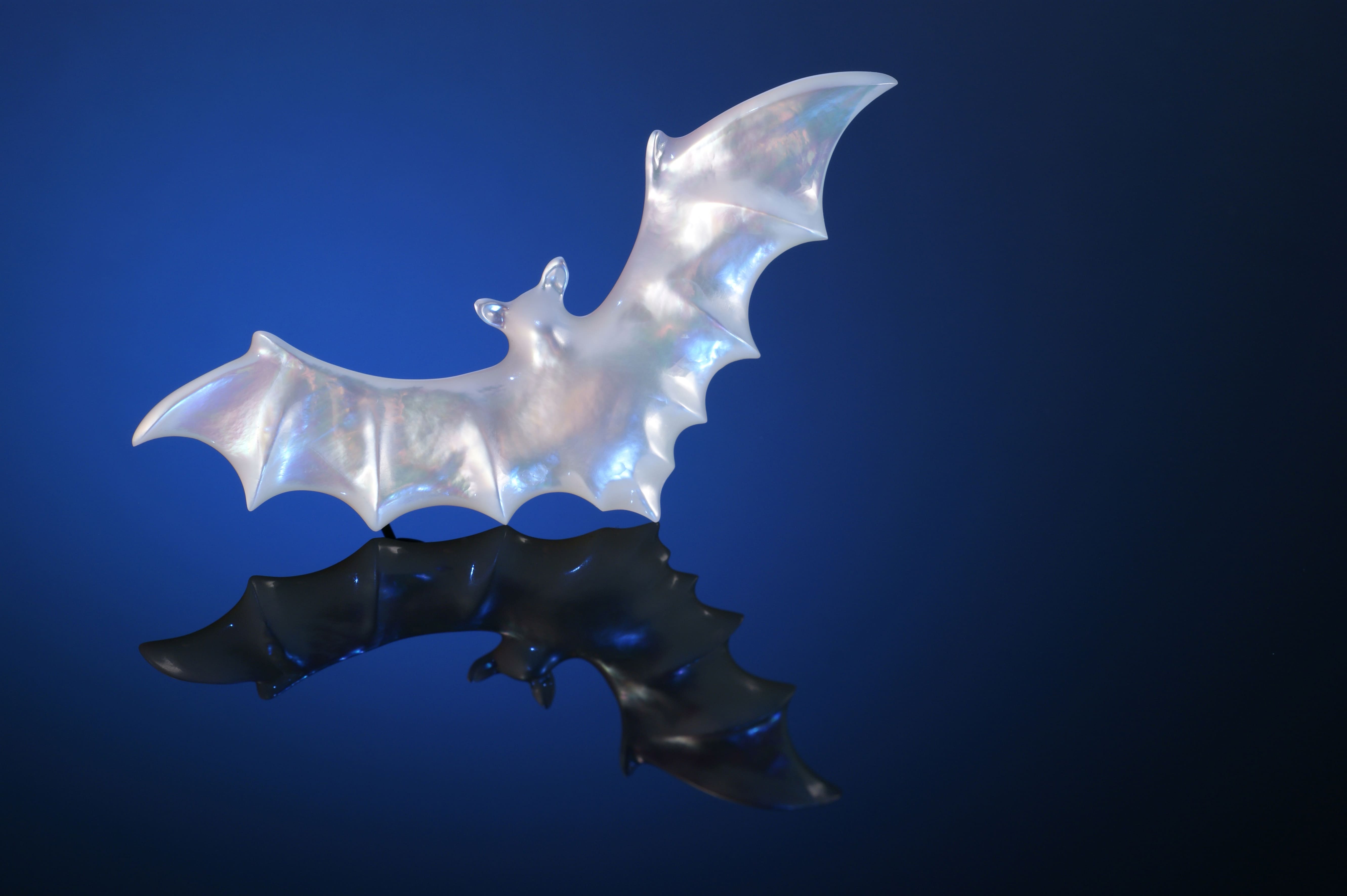 Mother of Pearl Bat Brooch Large