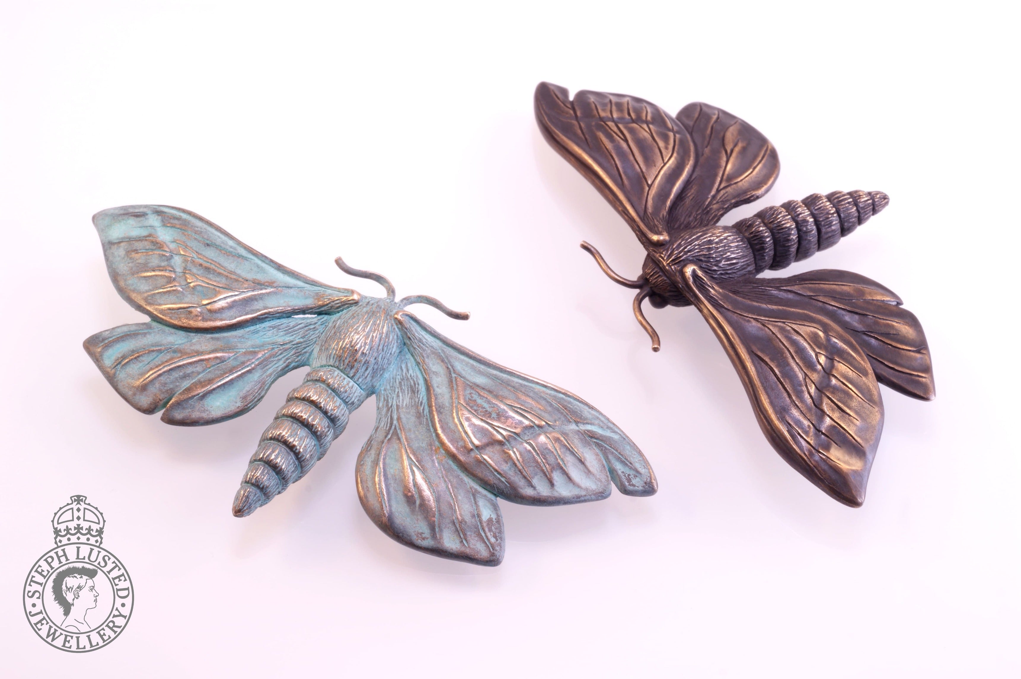 Puriri Moth - Bronze