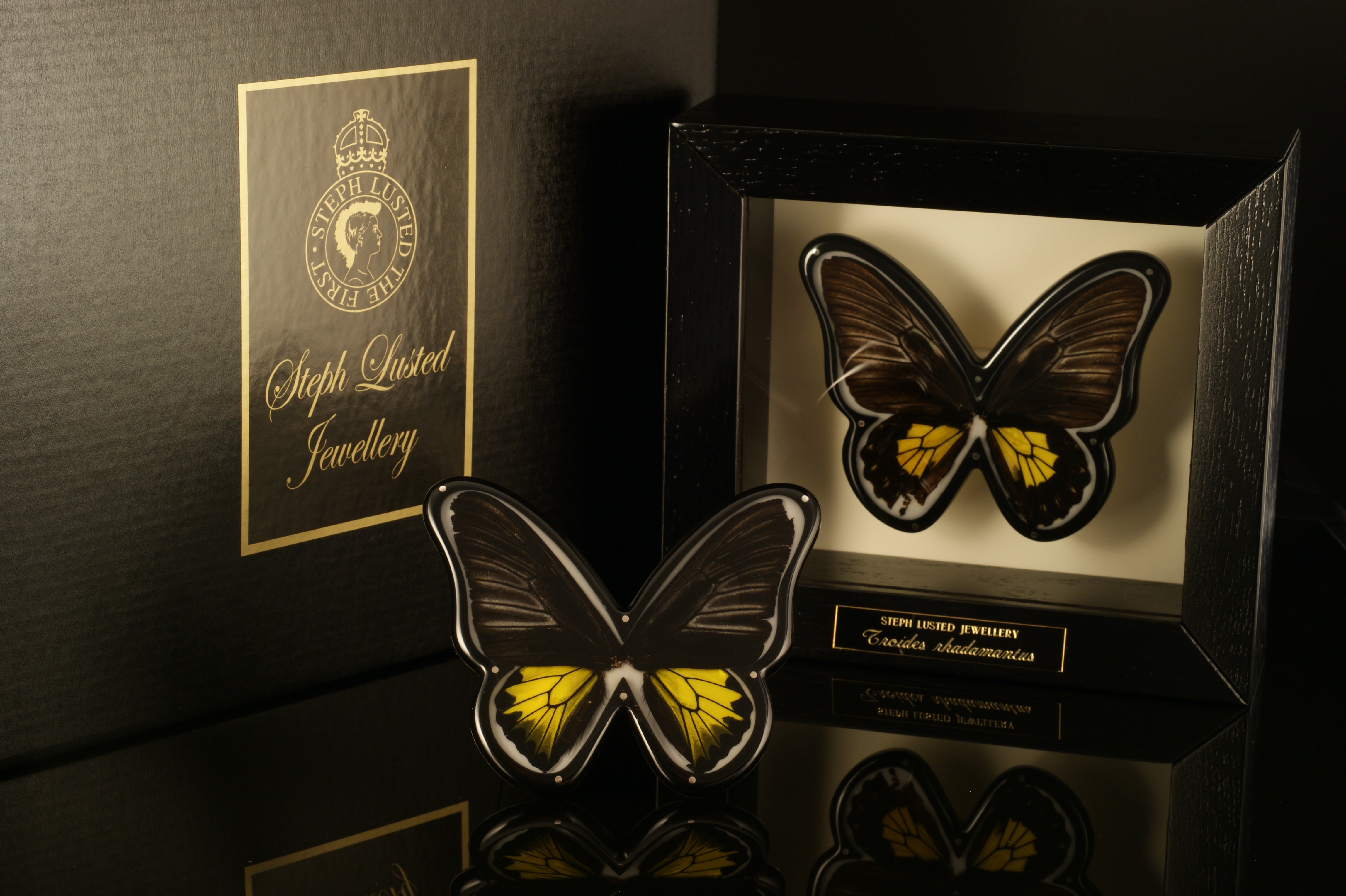 Butterfly Brooches in Cabinets