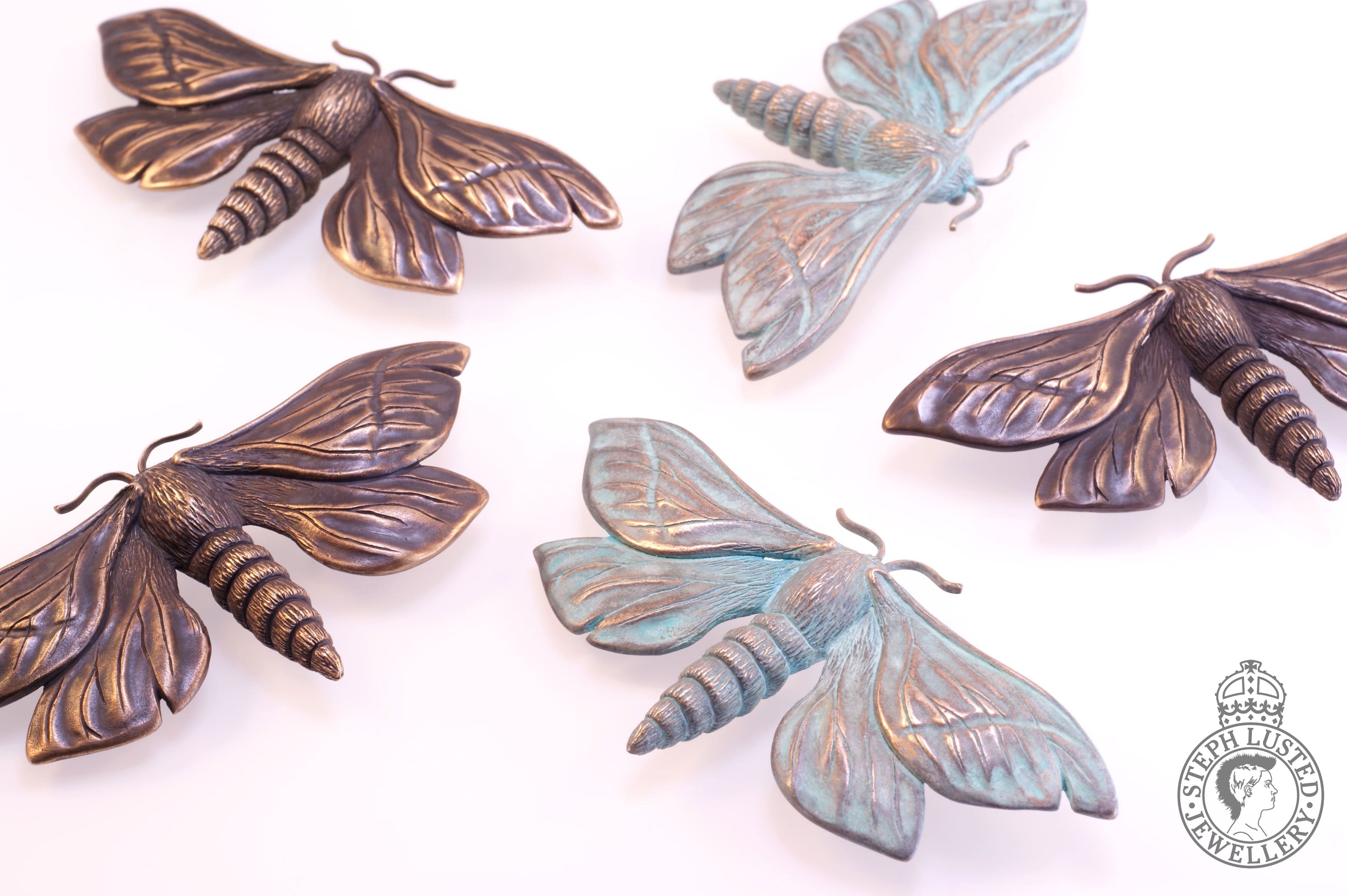 Puriri Moth - Bronze