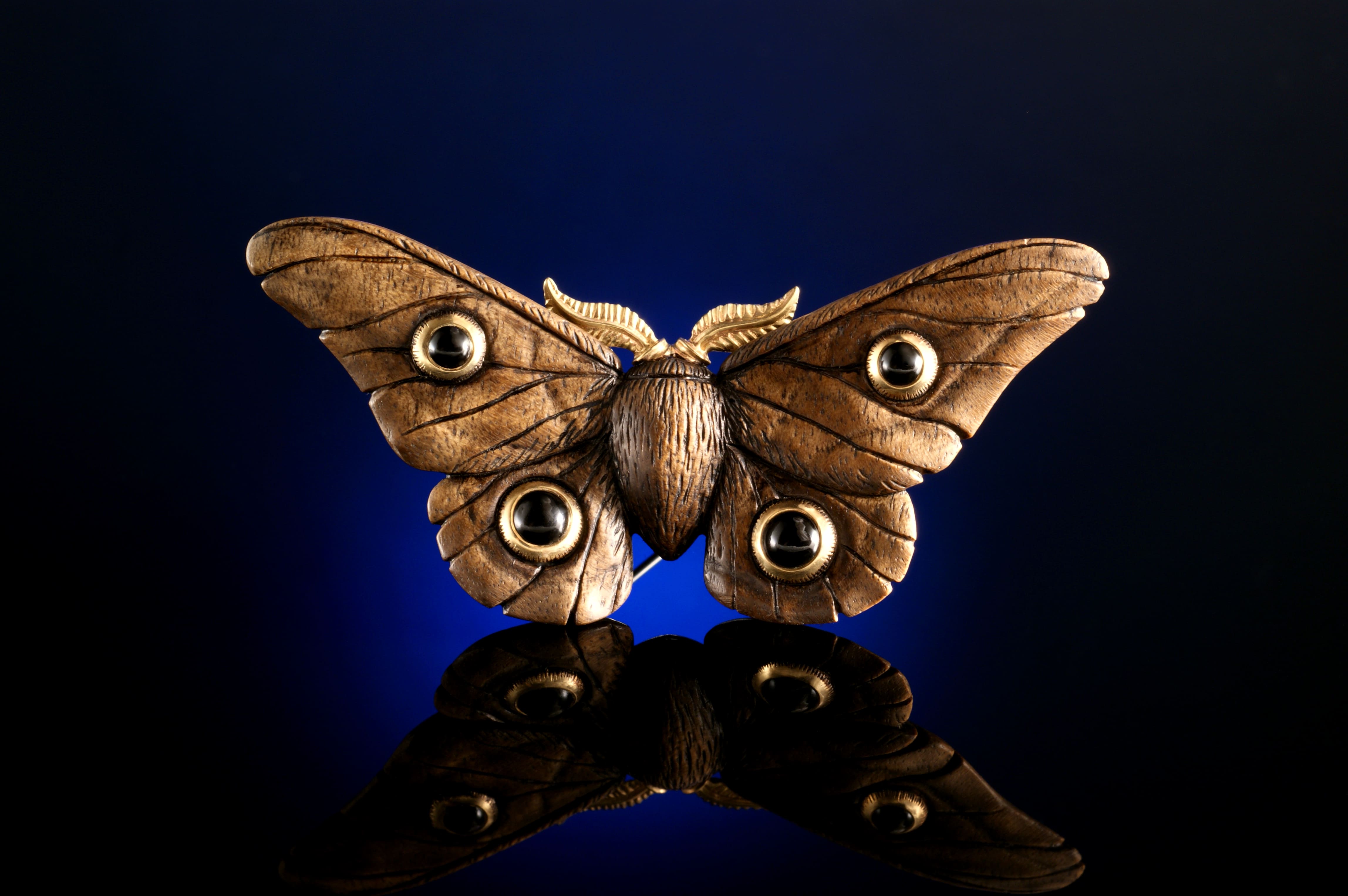 Emperor Gum Moth - Onyx