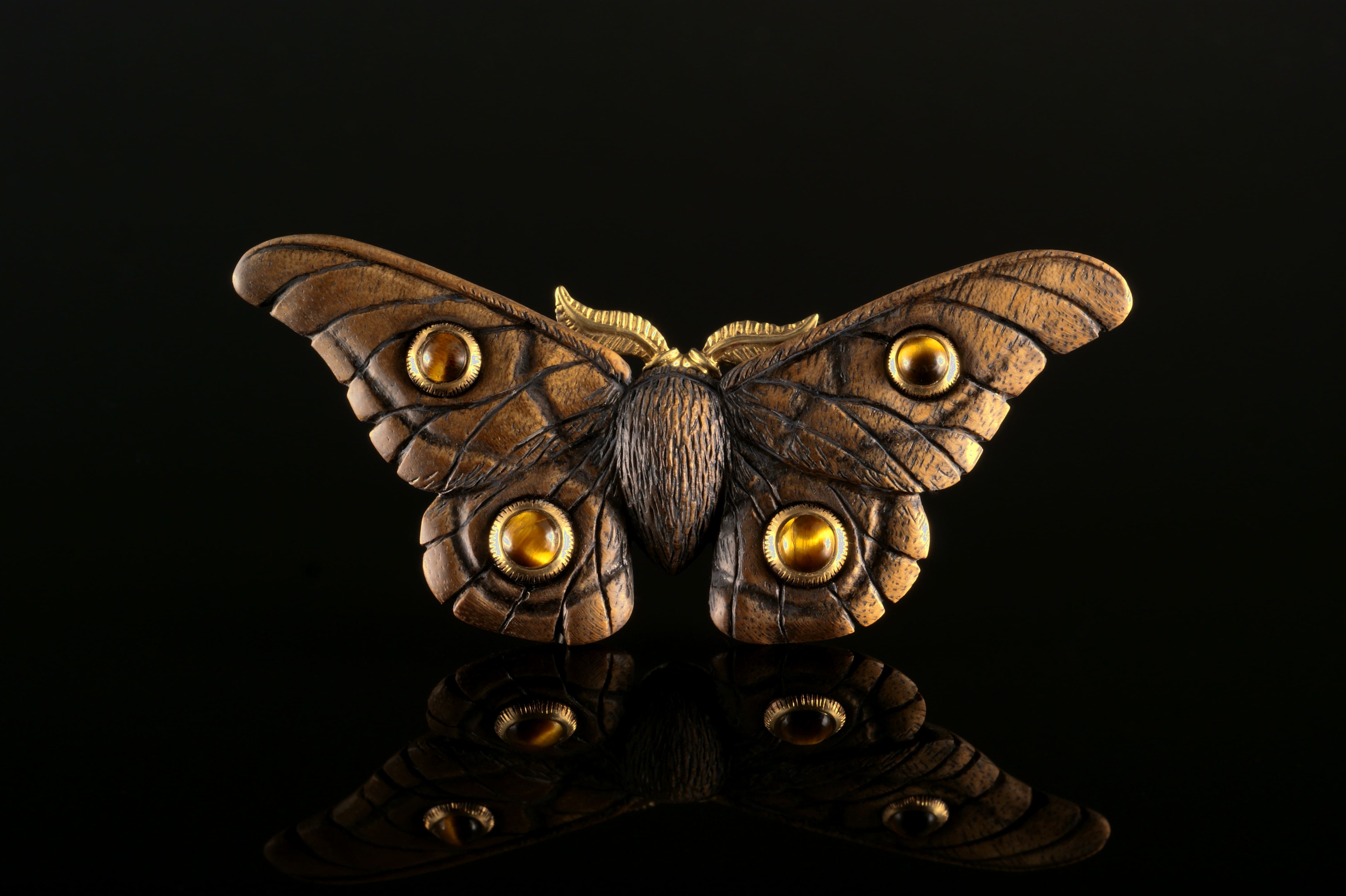 Emperor Gum Moth - Tigers eye