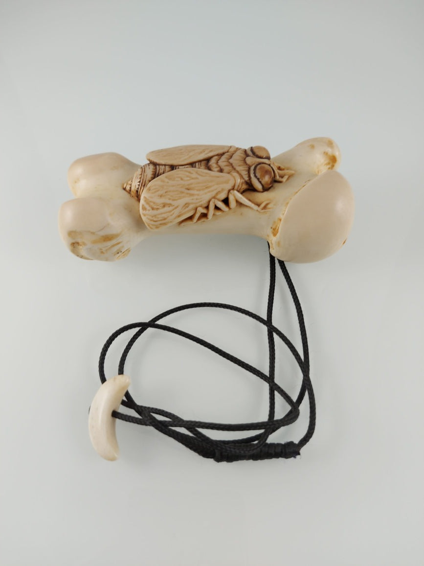Life and Death - Fly on Bone