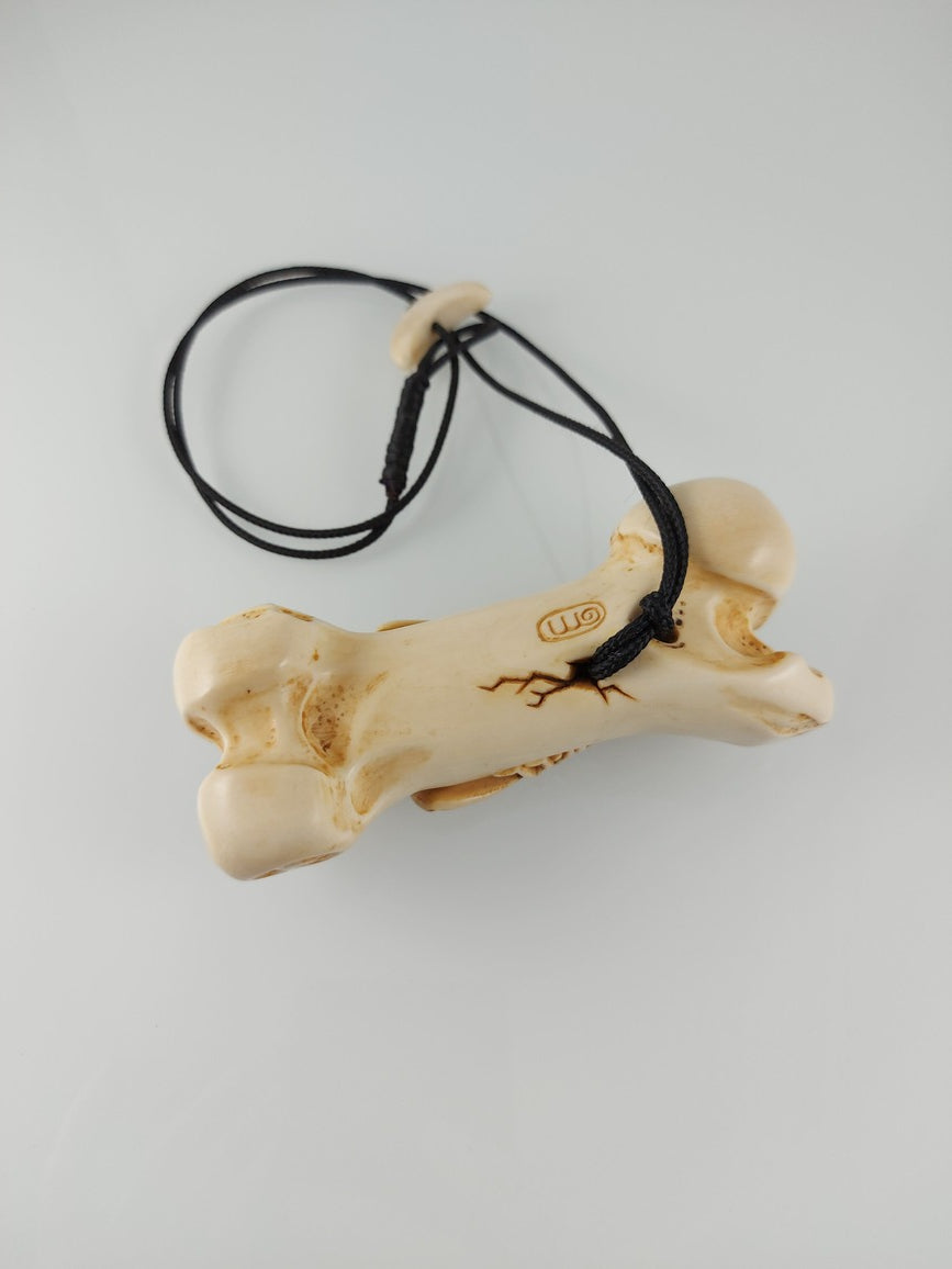 Life and Death - Fly on Bone
