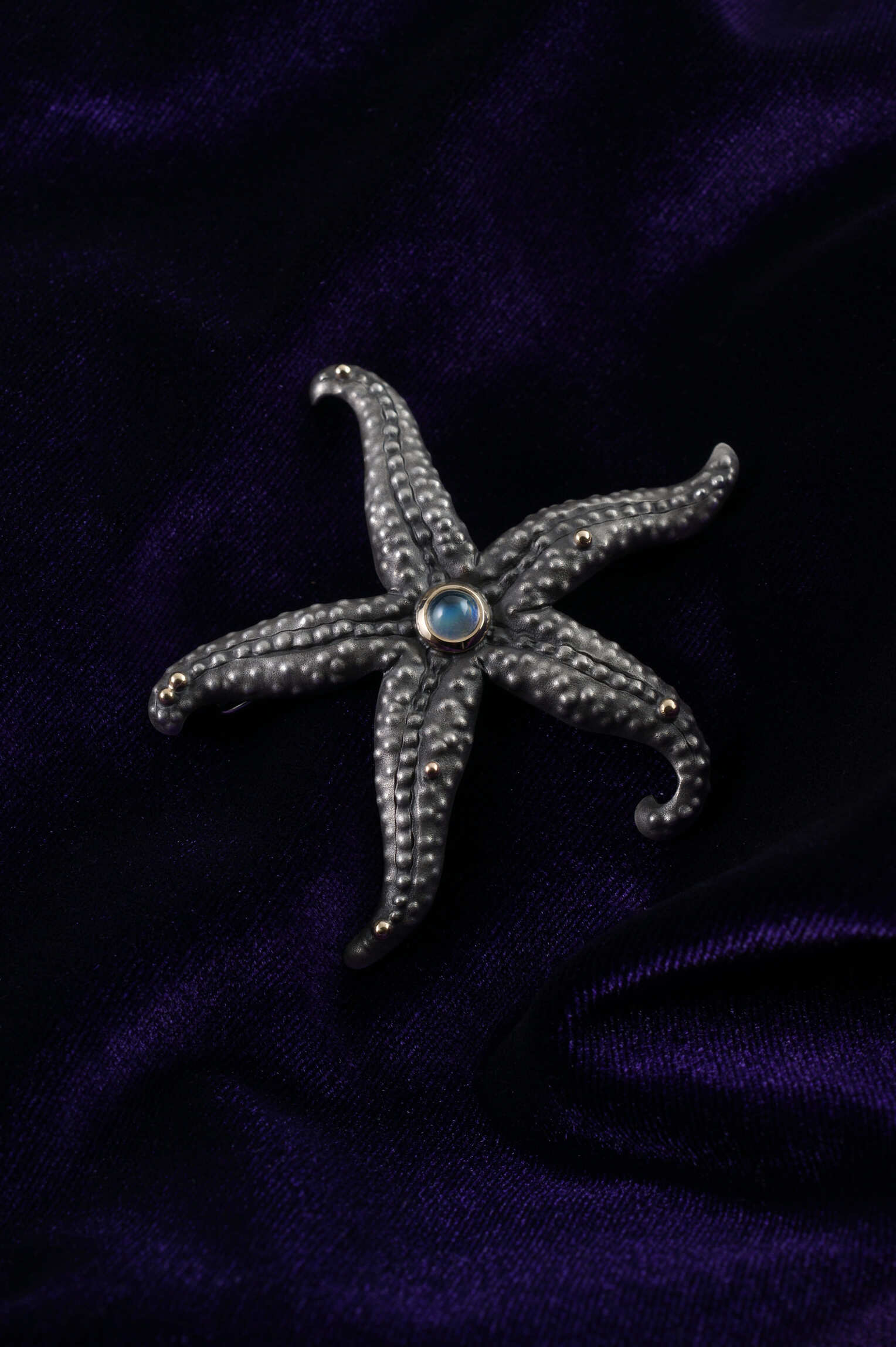 Moonlight Sea Star