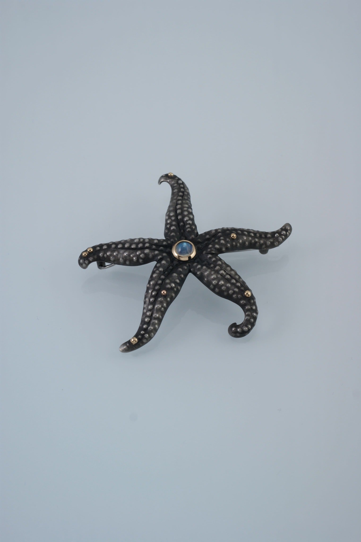 Moonlight Sea Star