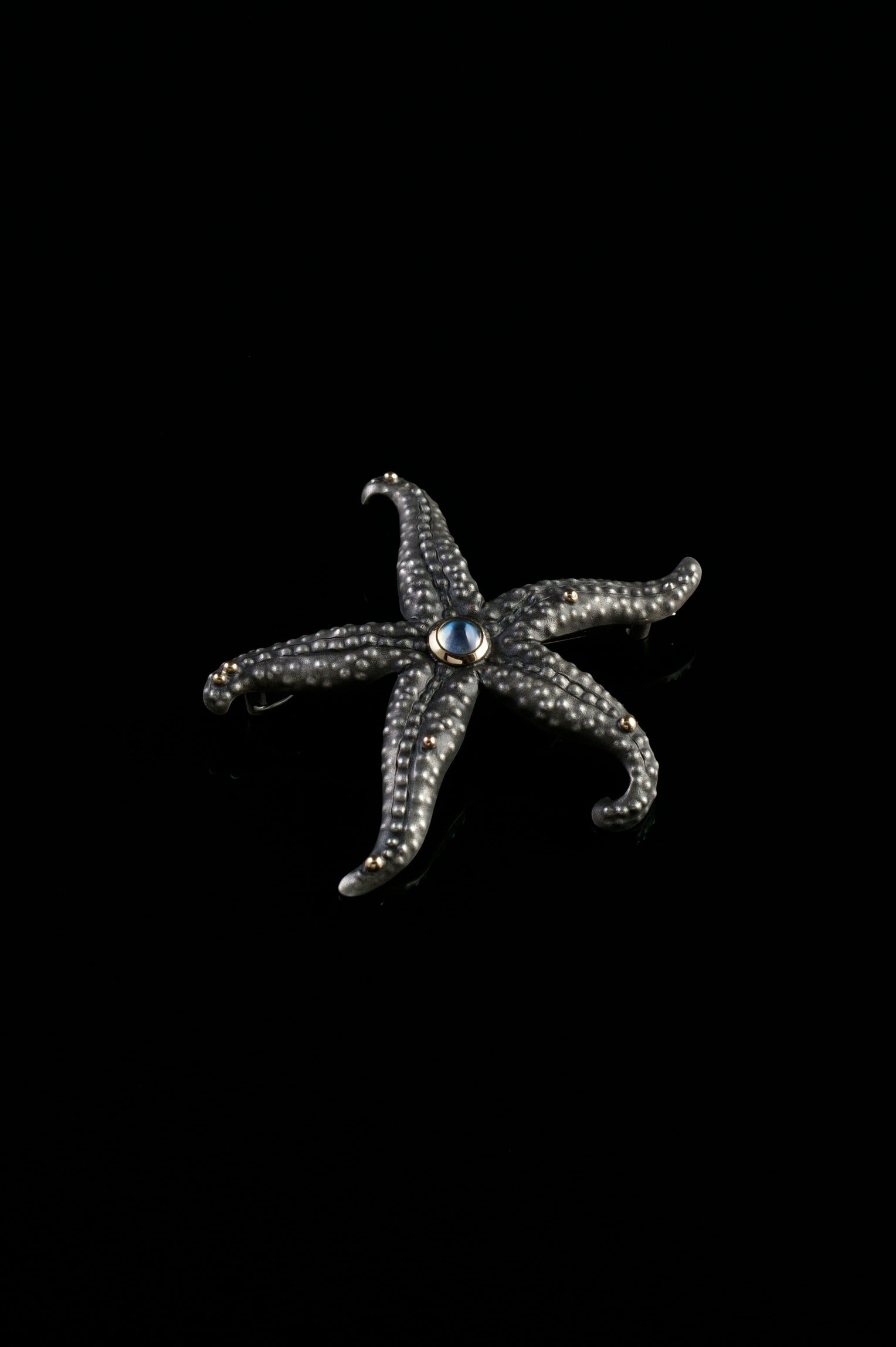 Moonlight Sea Star