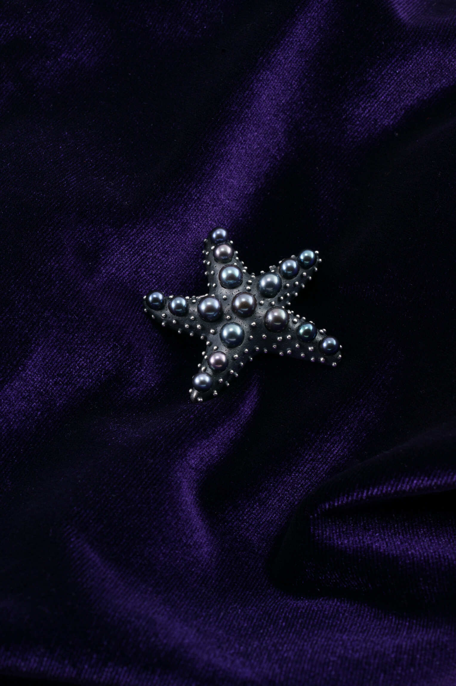 Sea Star - Raven's Wing