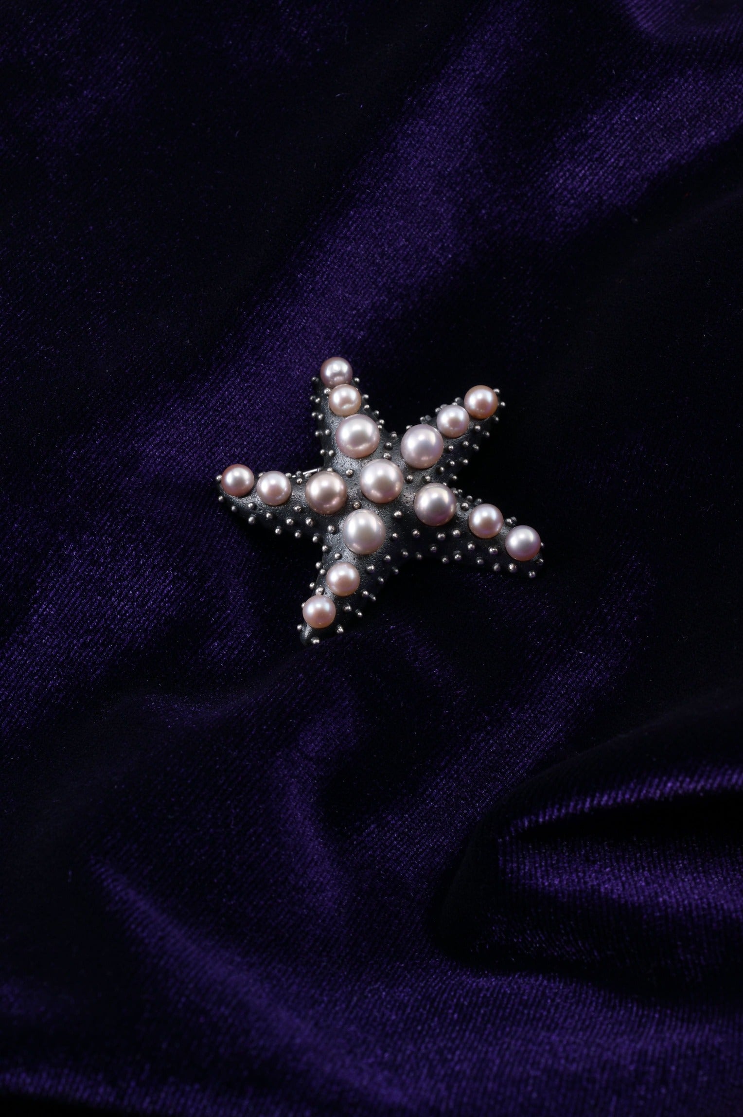 Sea Star - Blush