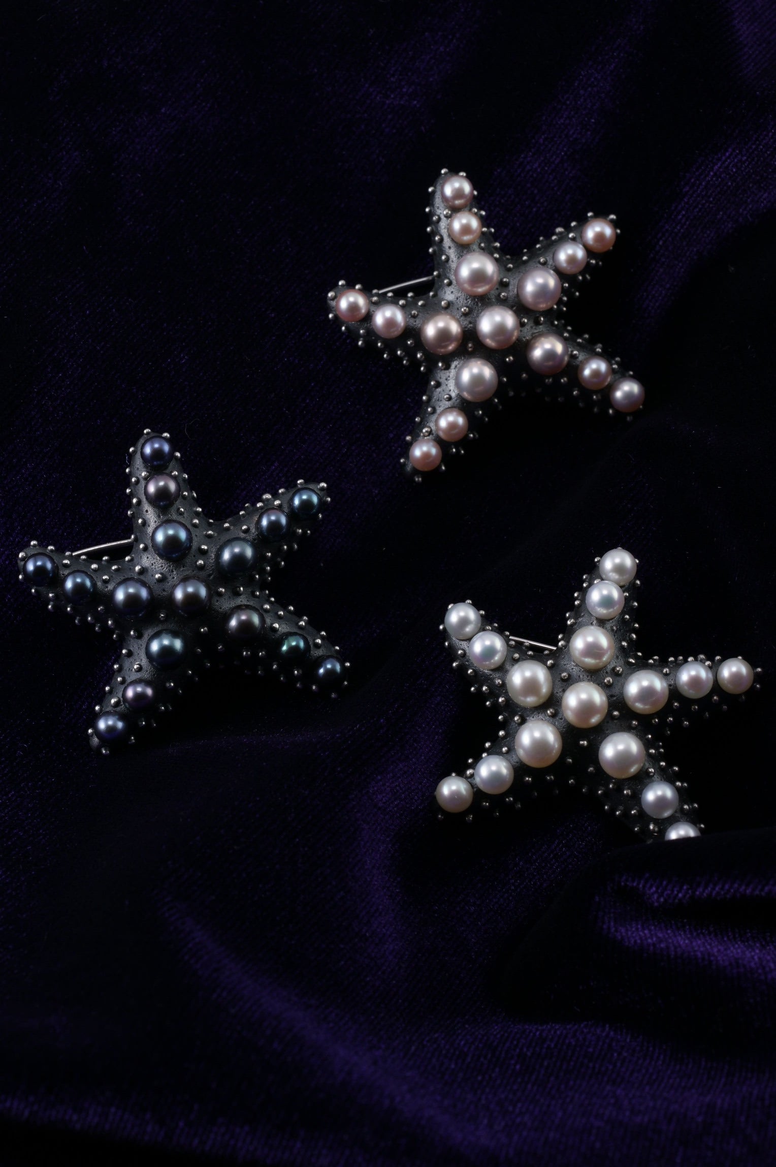 Sea Star - Raven's Wing